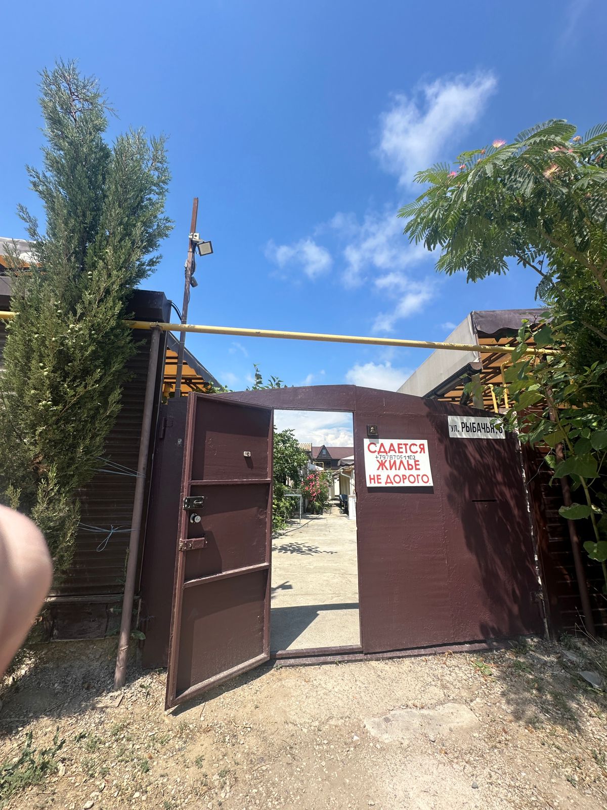 Фото У Дианы