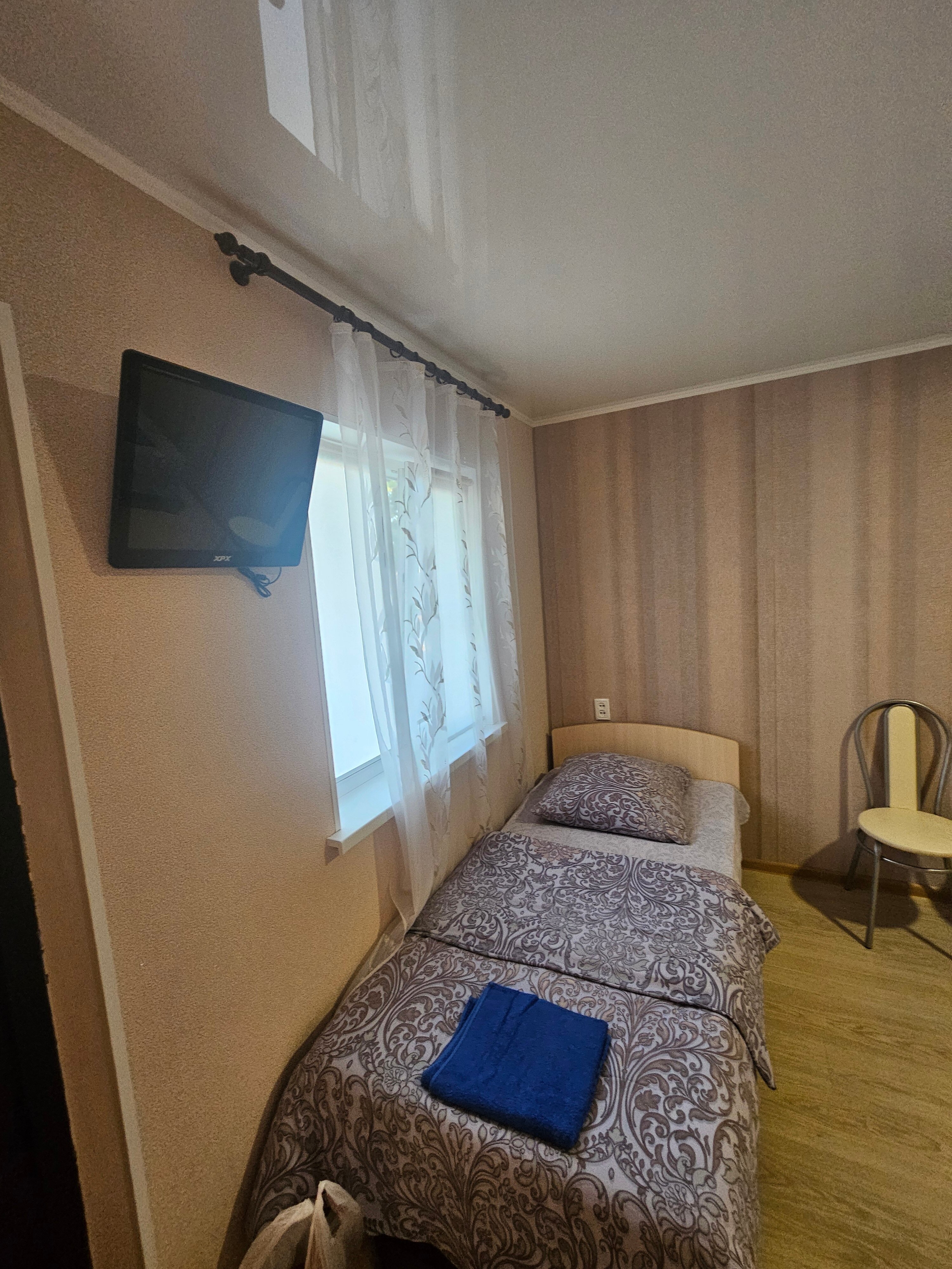 Фото Березка