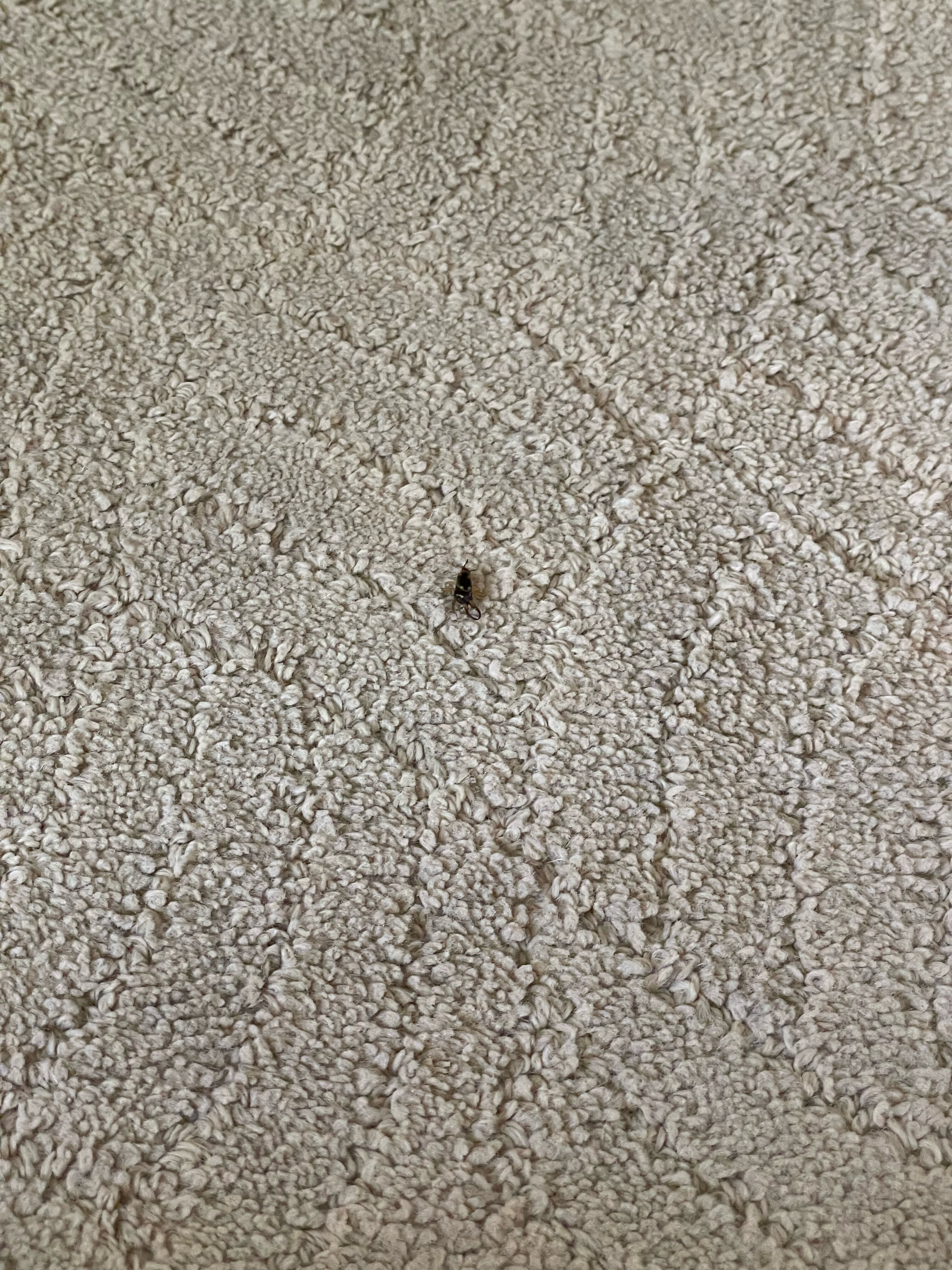 Фото Dilijan Park Resort & Villas