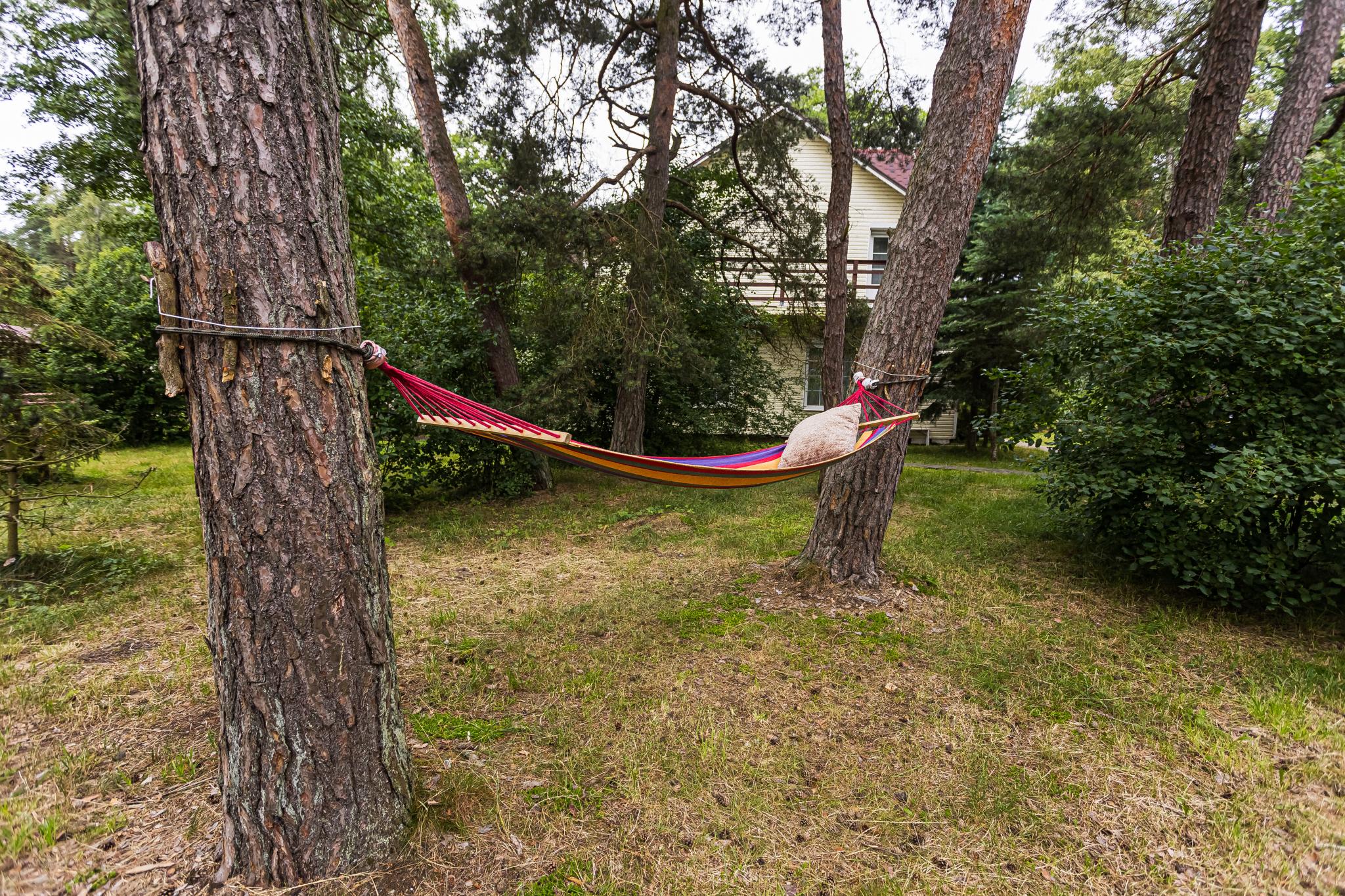 Фото ВитТех