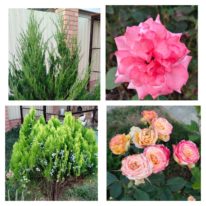 Фото Павловская усадьба