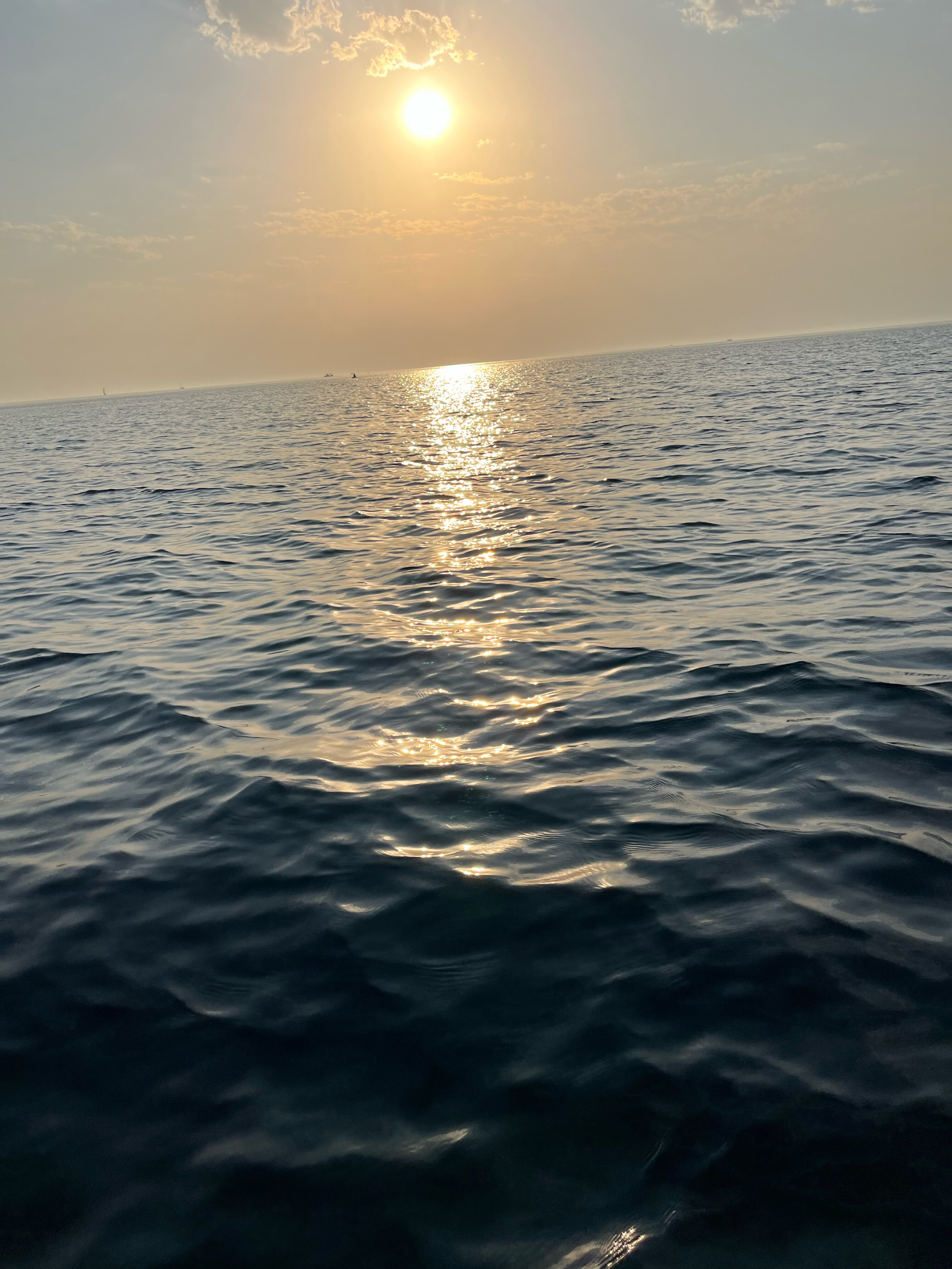 Фото МоРеми