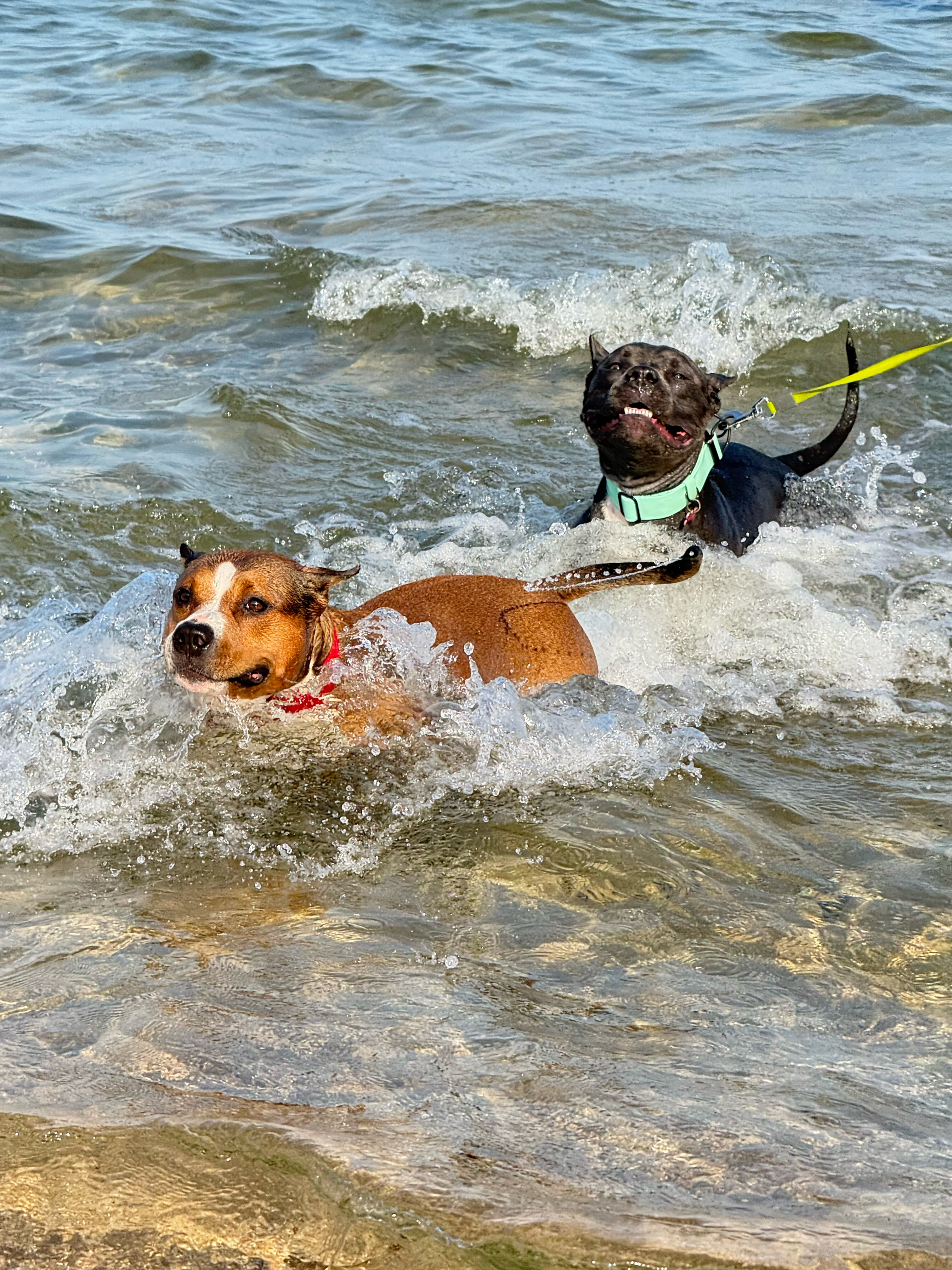 Фото СантоРини