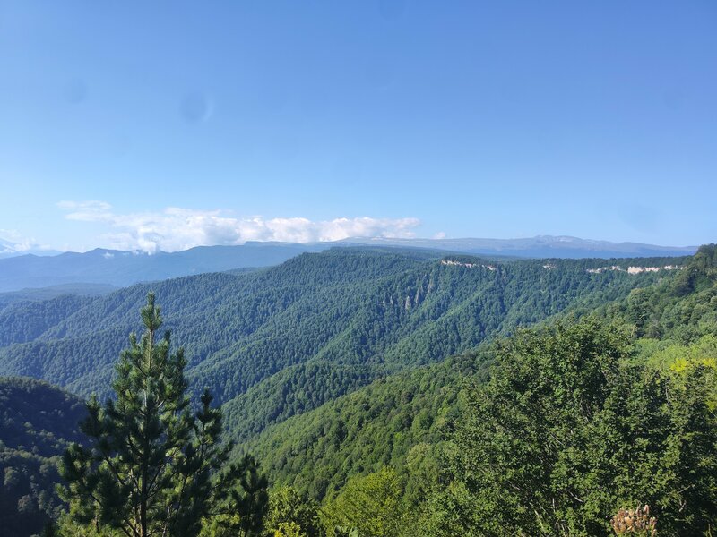 Роман Фурса