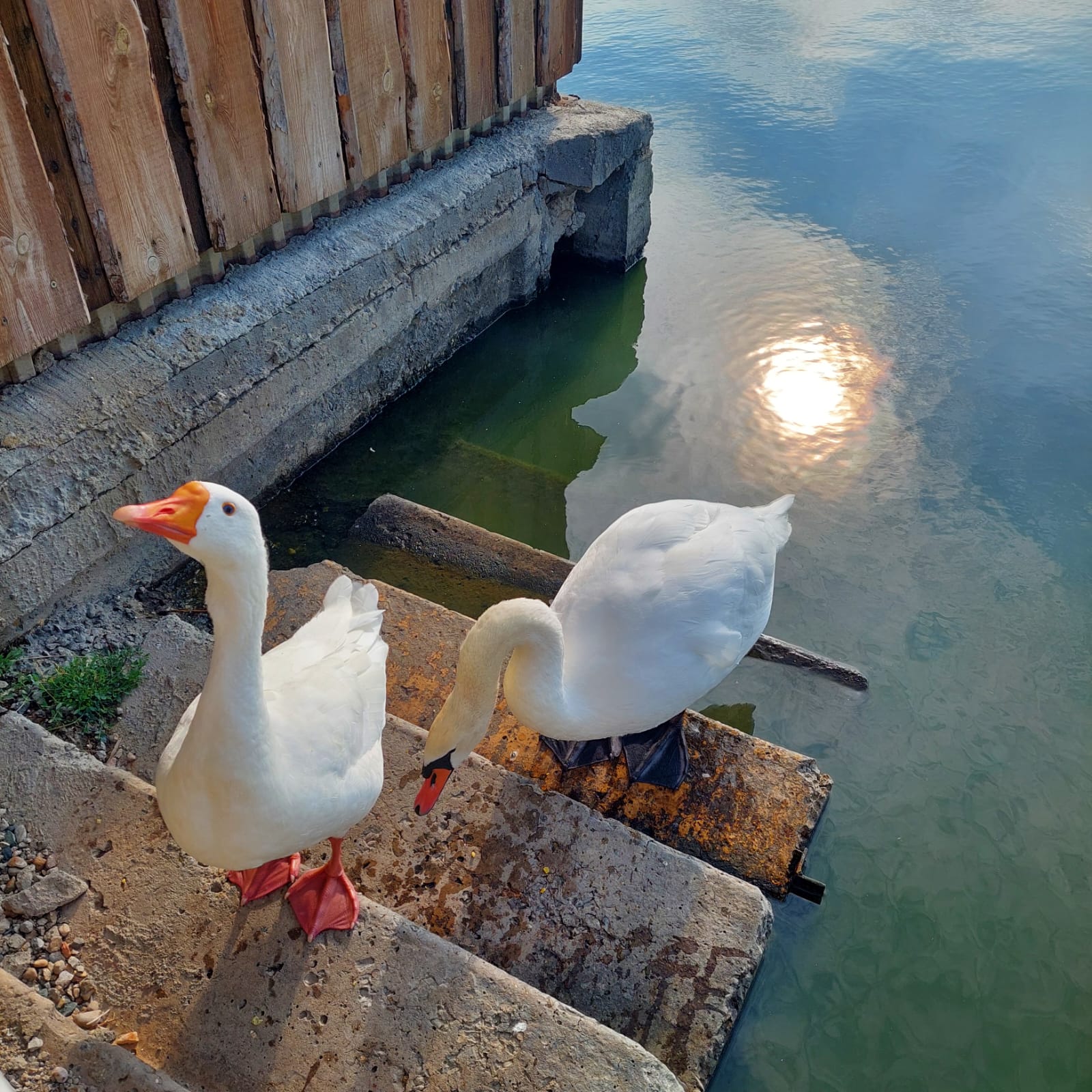 Фото Калон-Брион