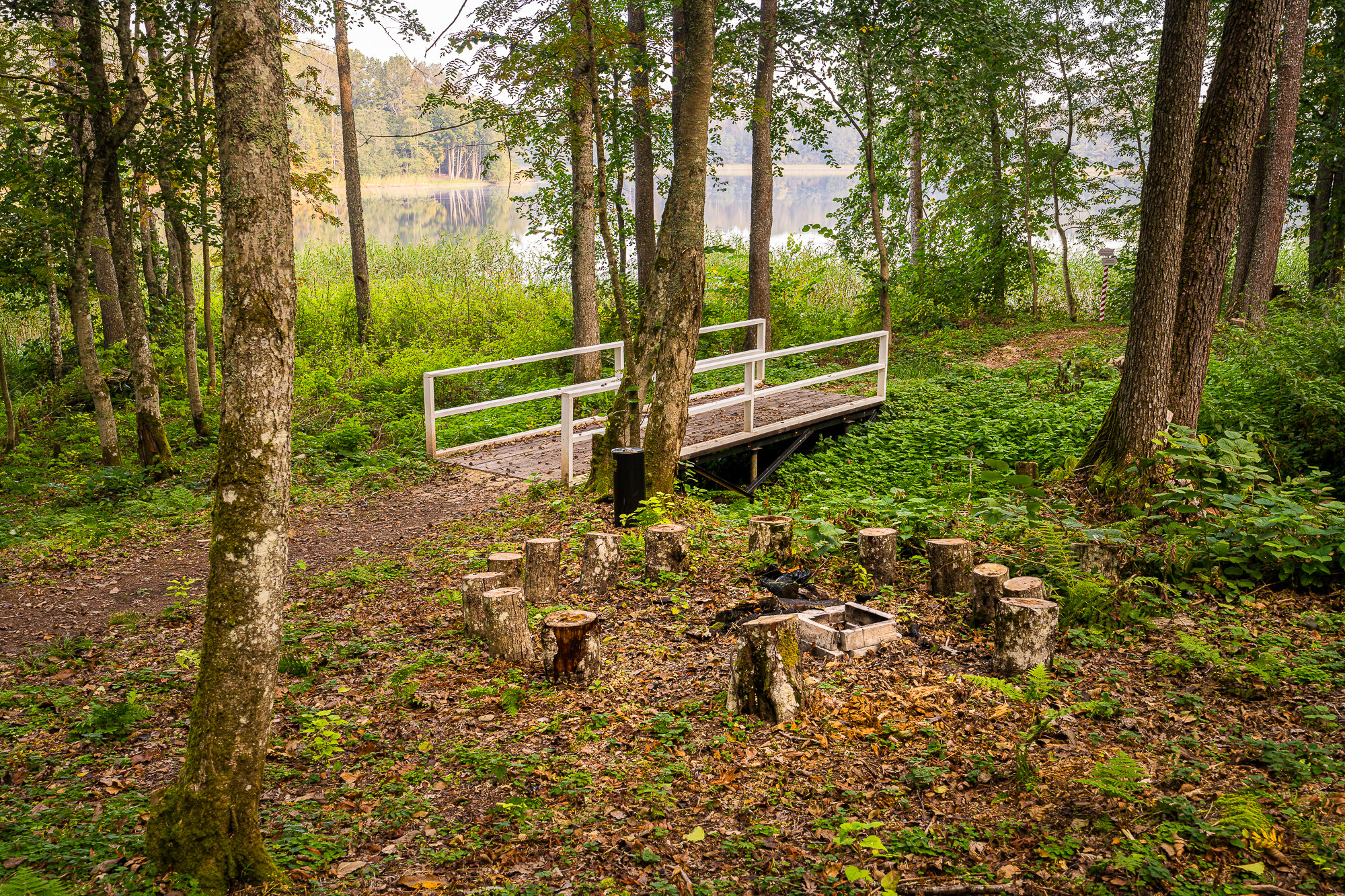 Фото  Времена года