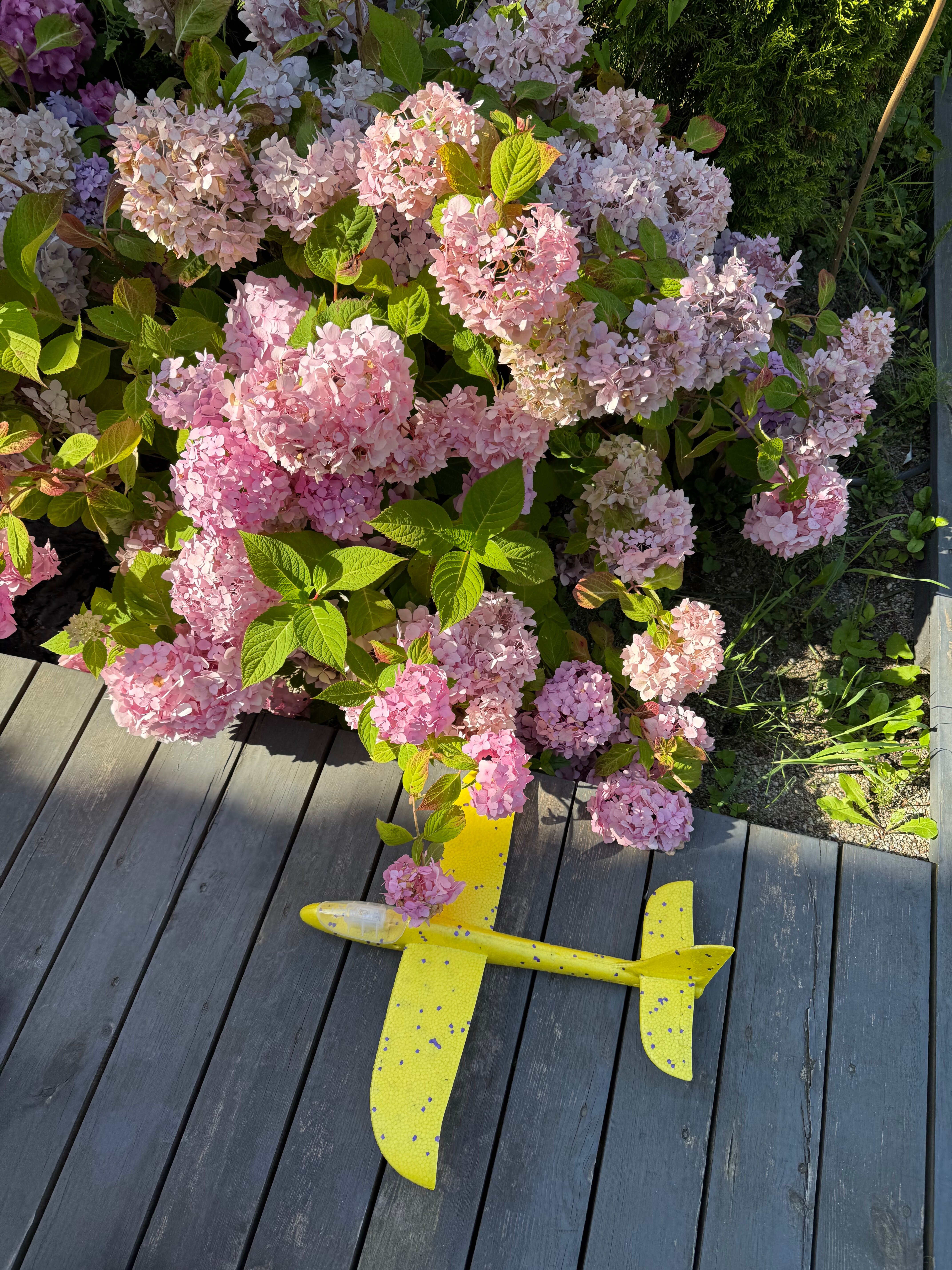 Фото Домик и Море