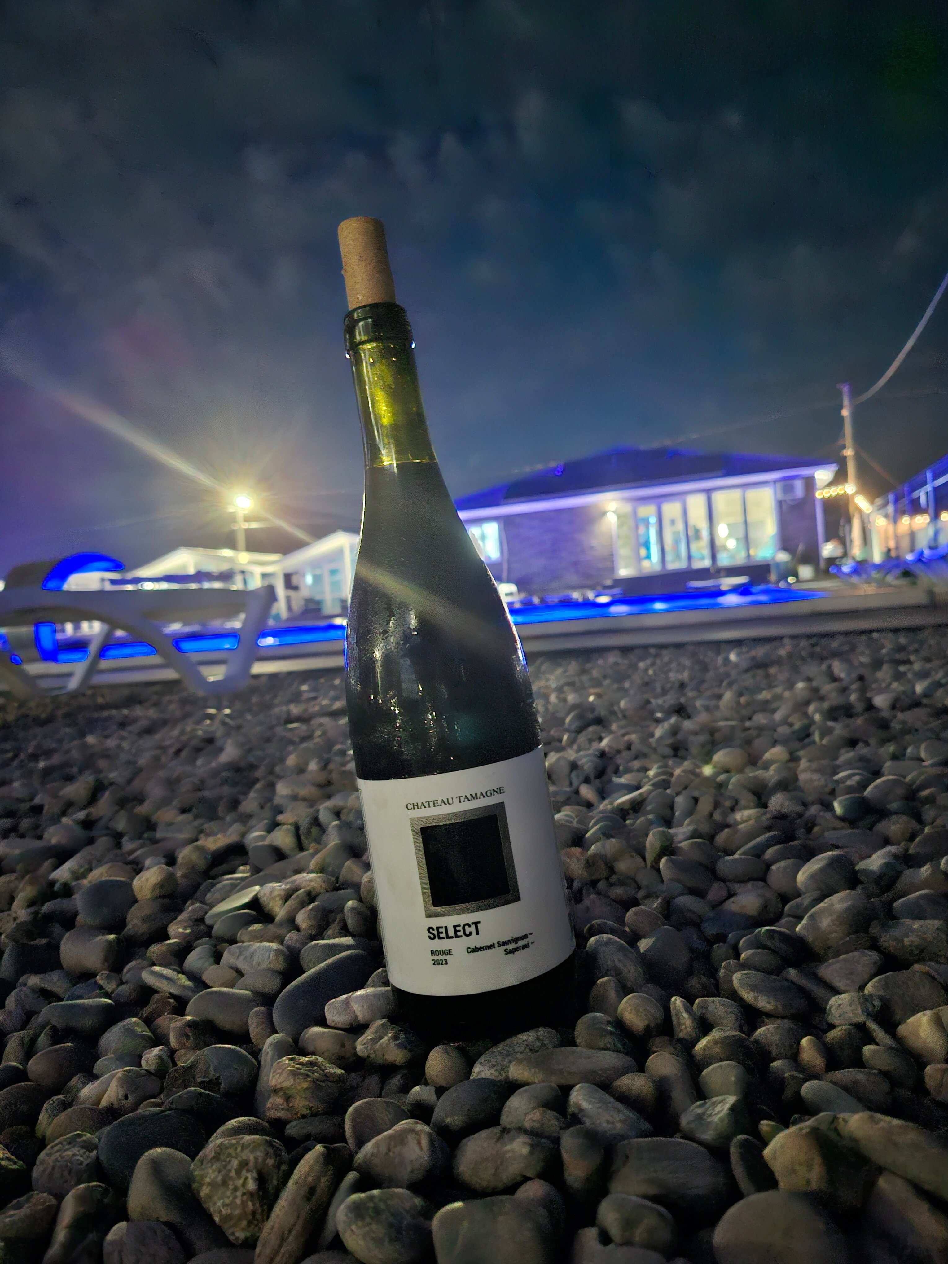 Фото Альбатрос