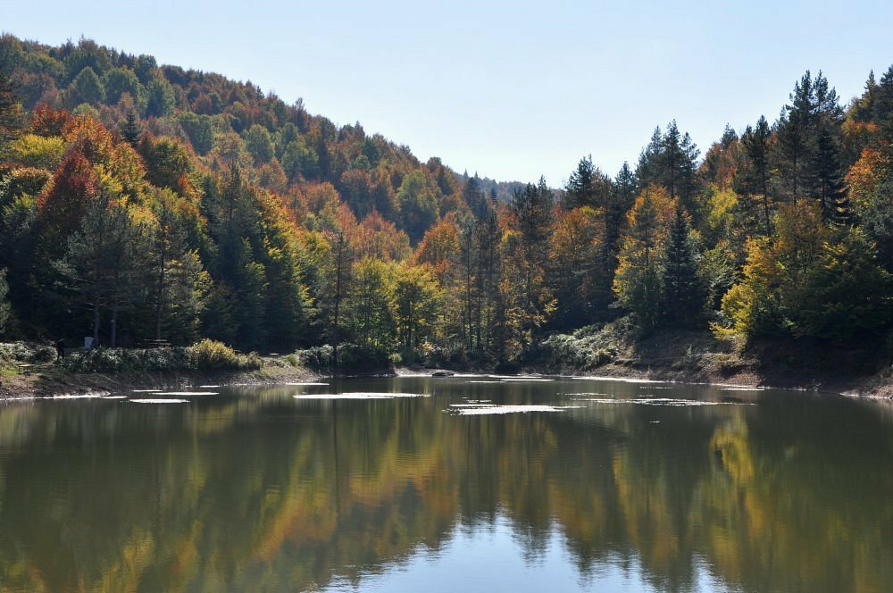 Landmark, attraction Camlıpınar Pond Picnic Area, Kaynasli, photo