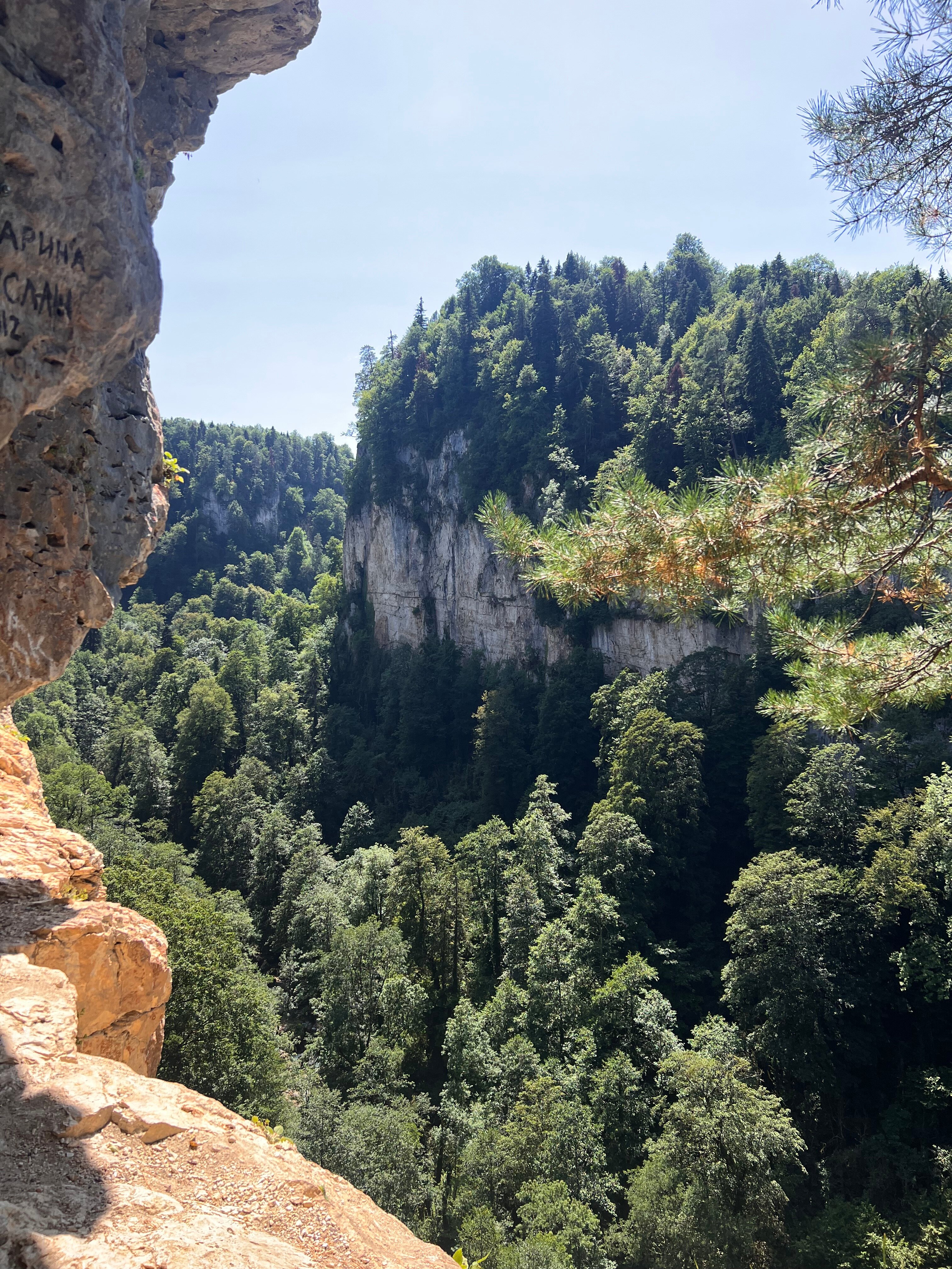 Фото Горная мята