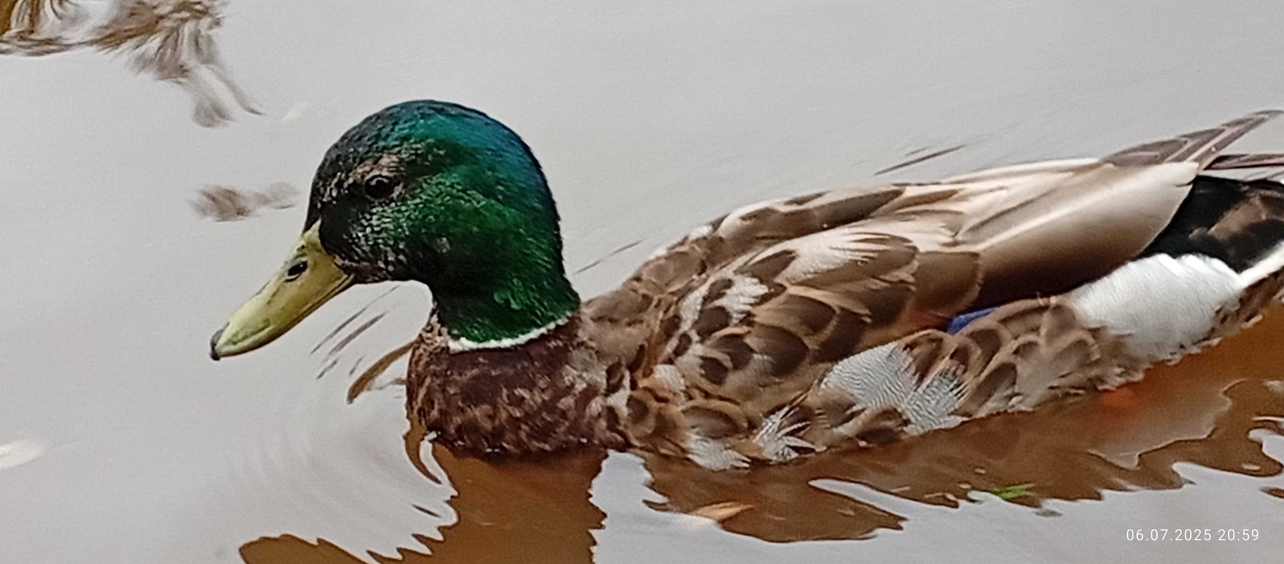 Фото Славянский Двор