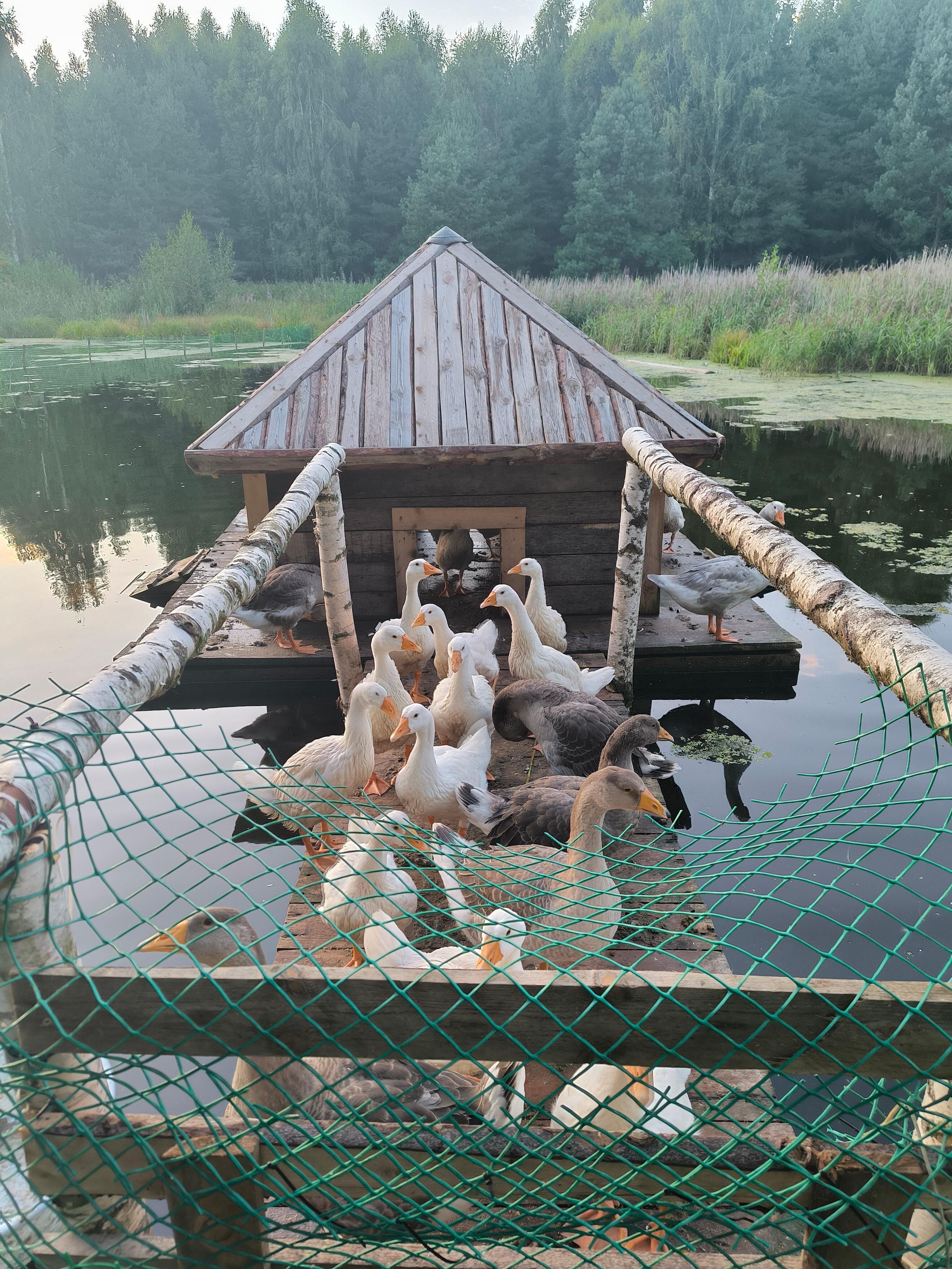 Фото Берег Грифона