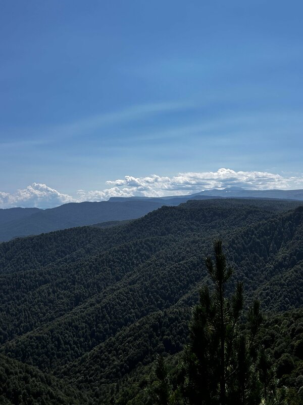 Ирина Агаркова