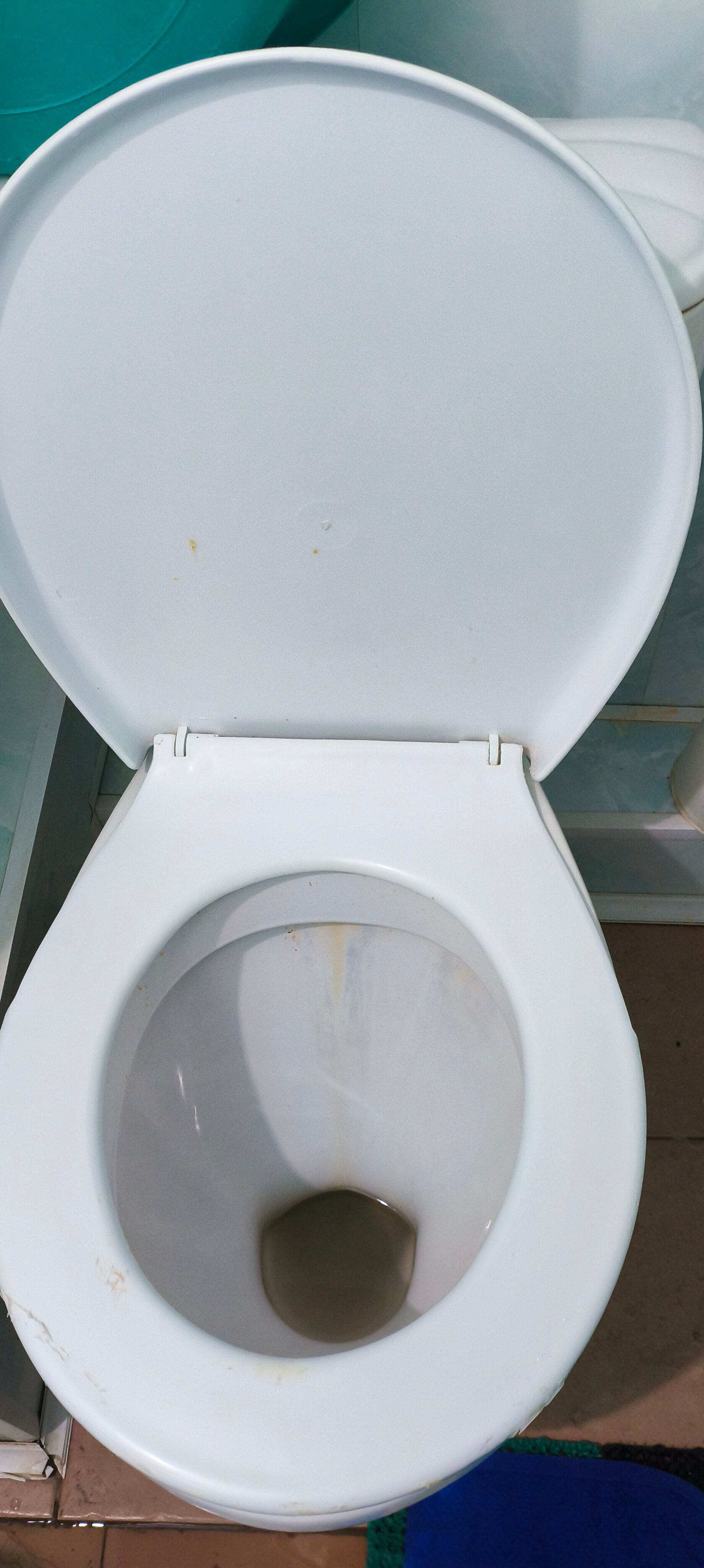 Фото Закавказье