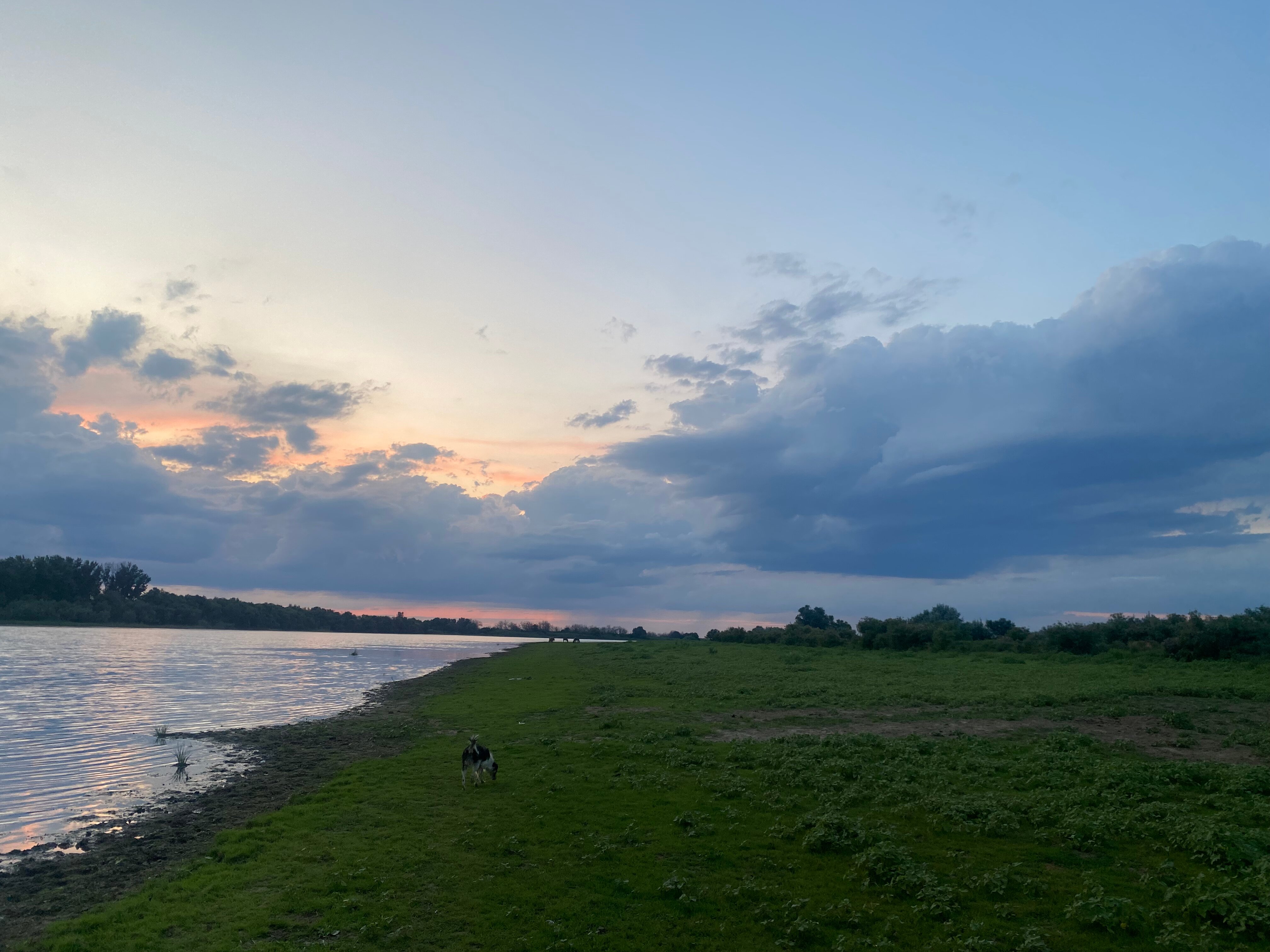 Фото Рыбаградъ