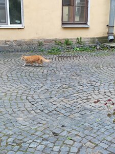 Old Town