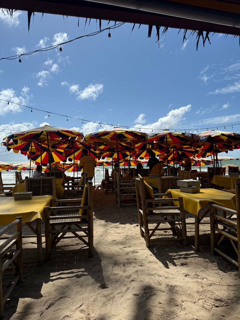 Cafe Golden fish, Phuket Province, photo