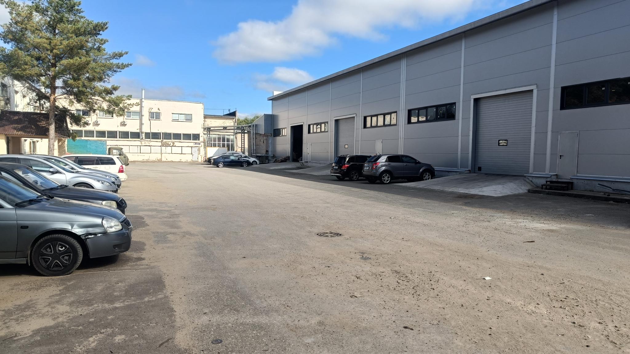 Фото Живитут