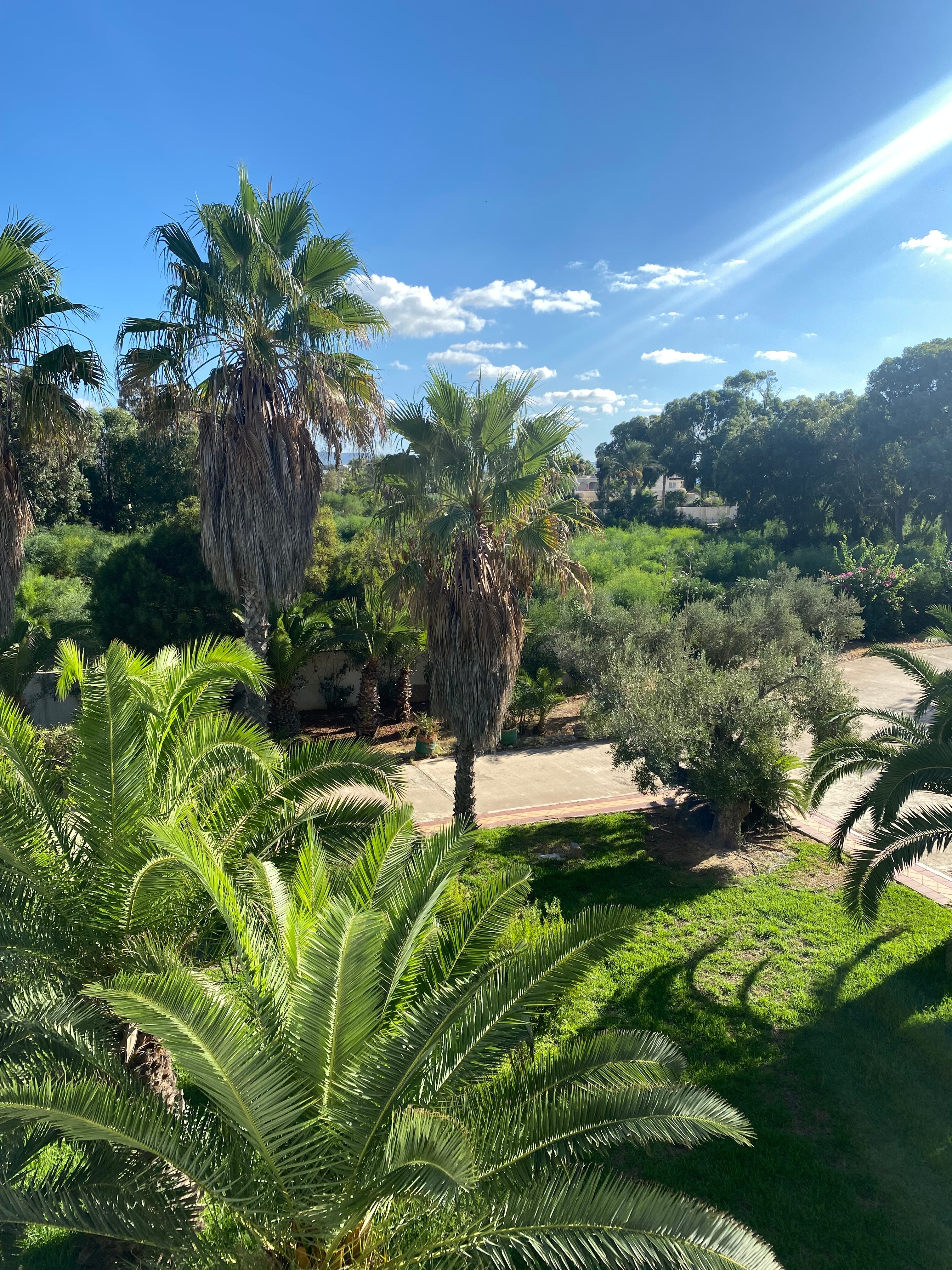 Фото Occidental Marco Polo