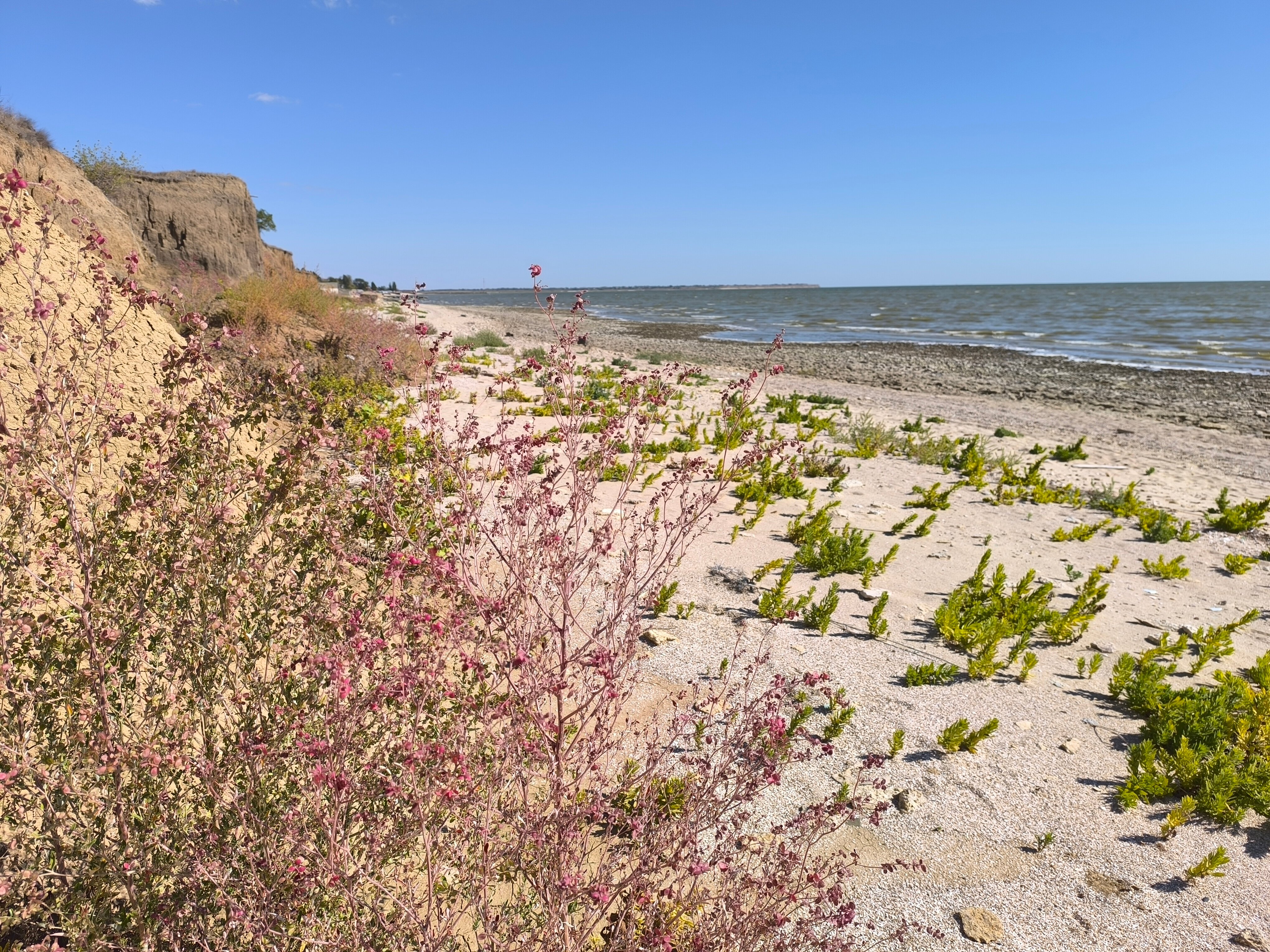 Фото Каникулы в Таганроге