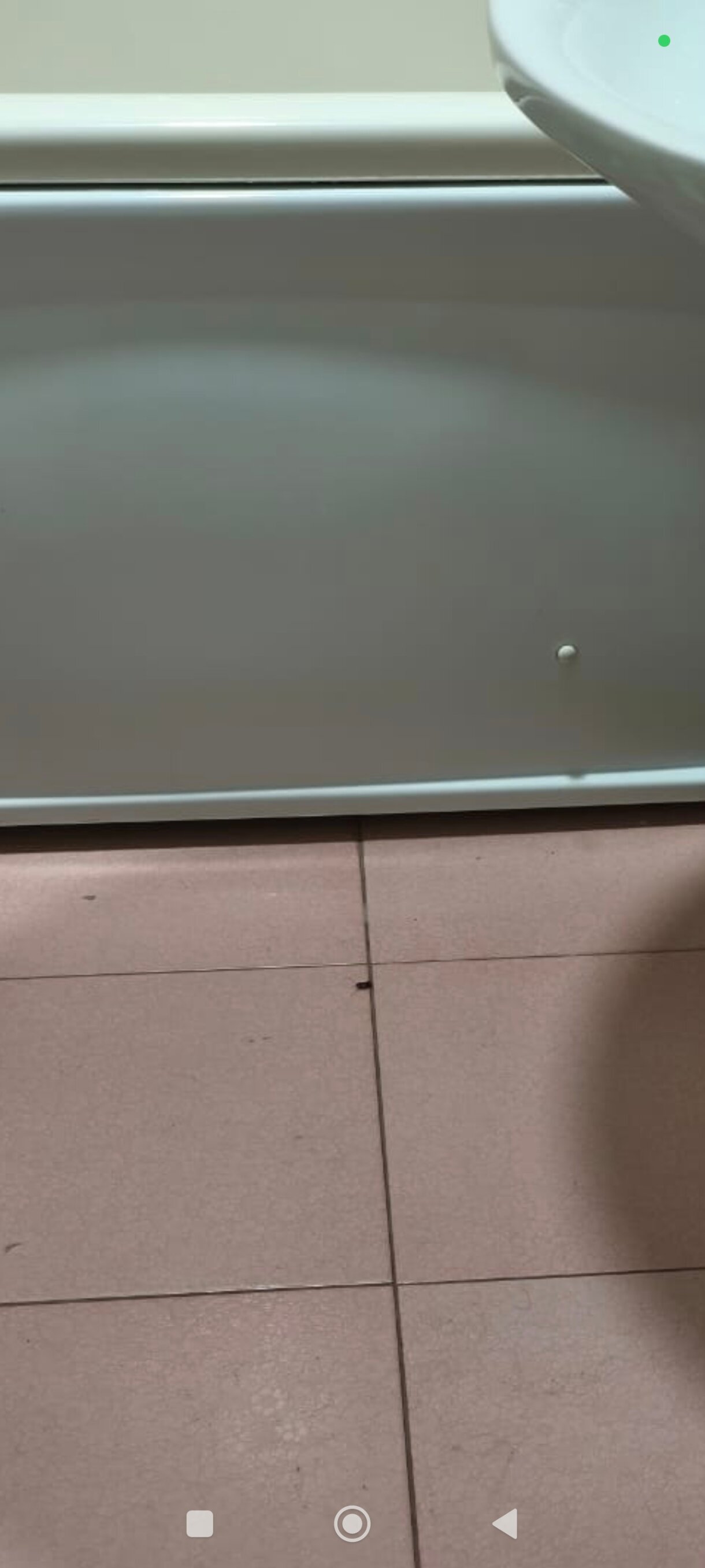 Фото Просперус