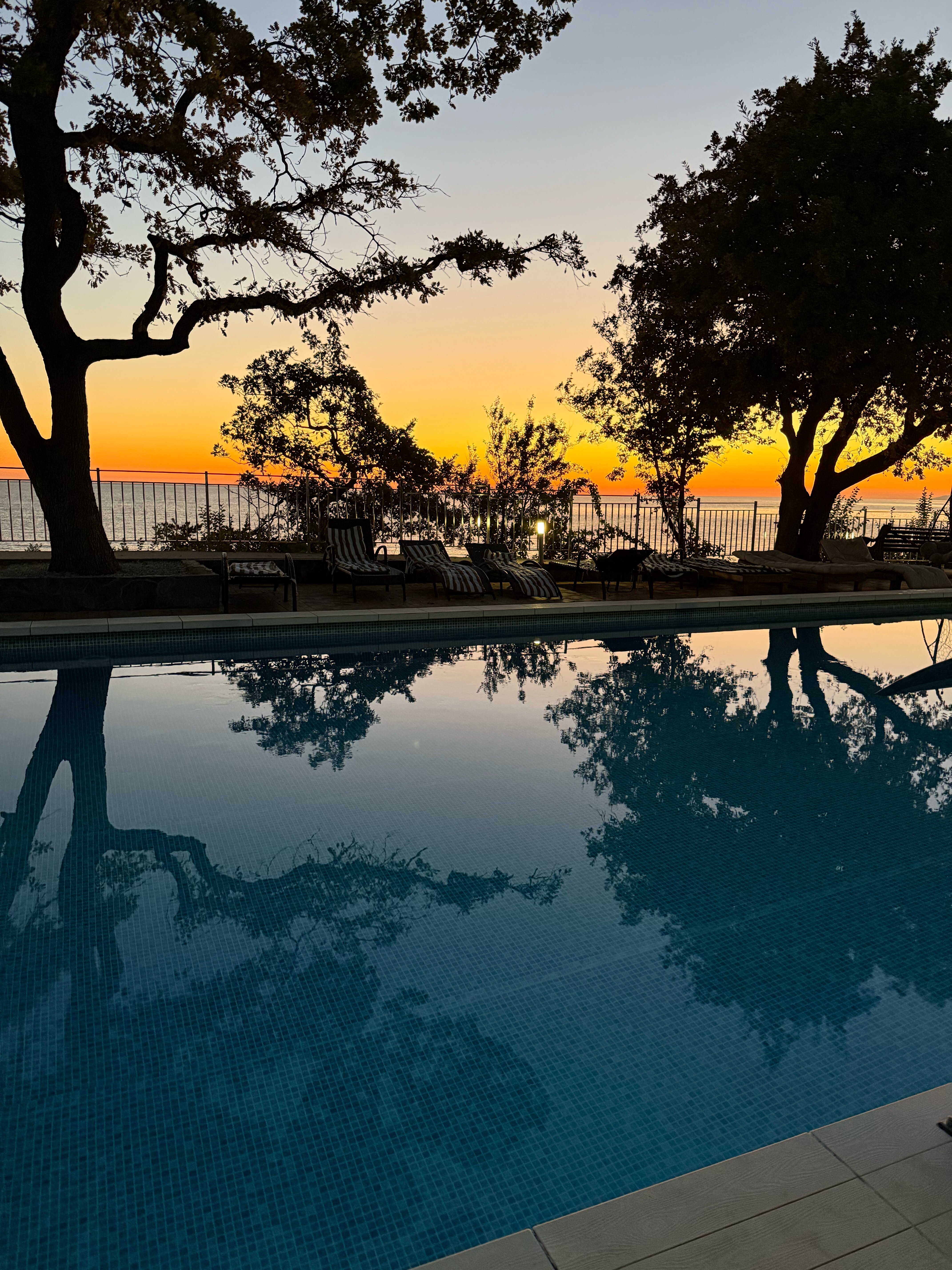 Фото Мироген