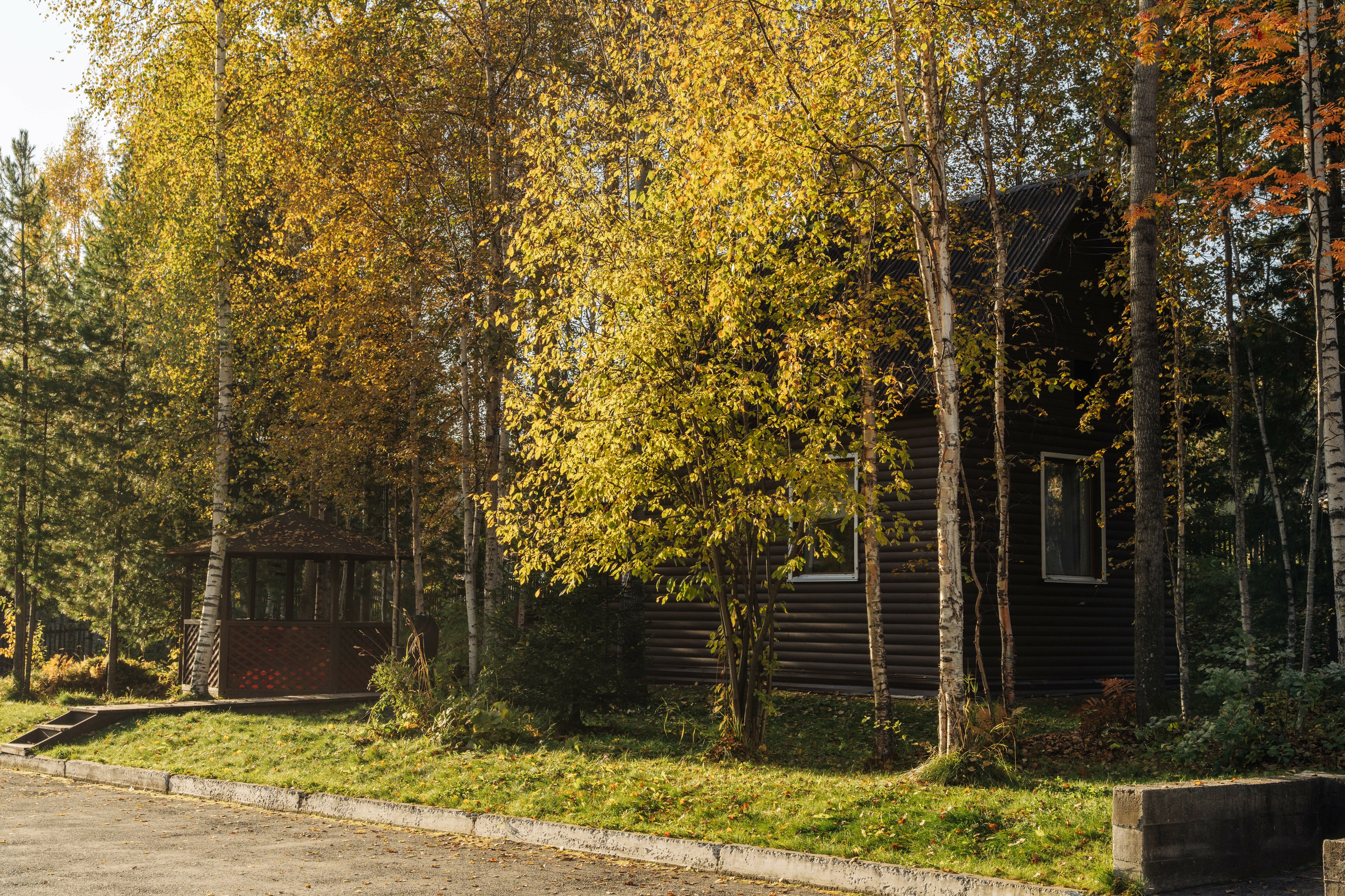 Фото Белый соболь