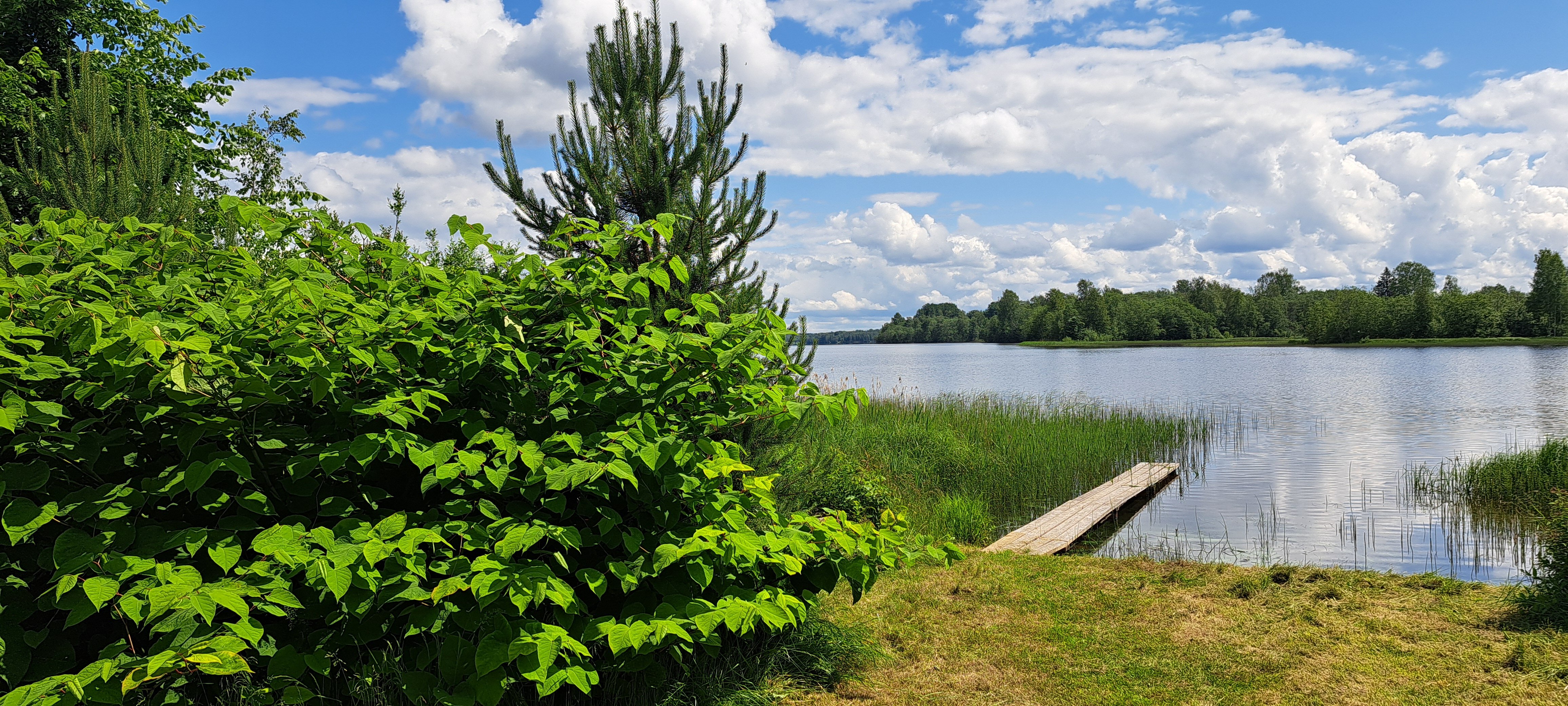 Фото Никольский Стан