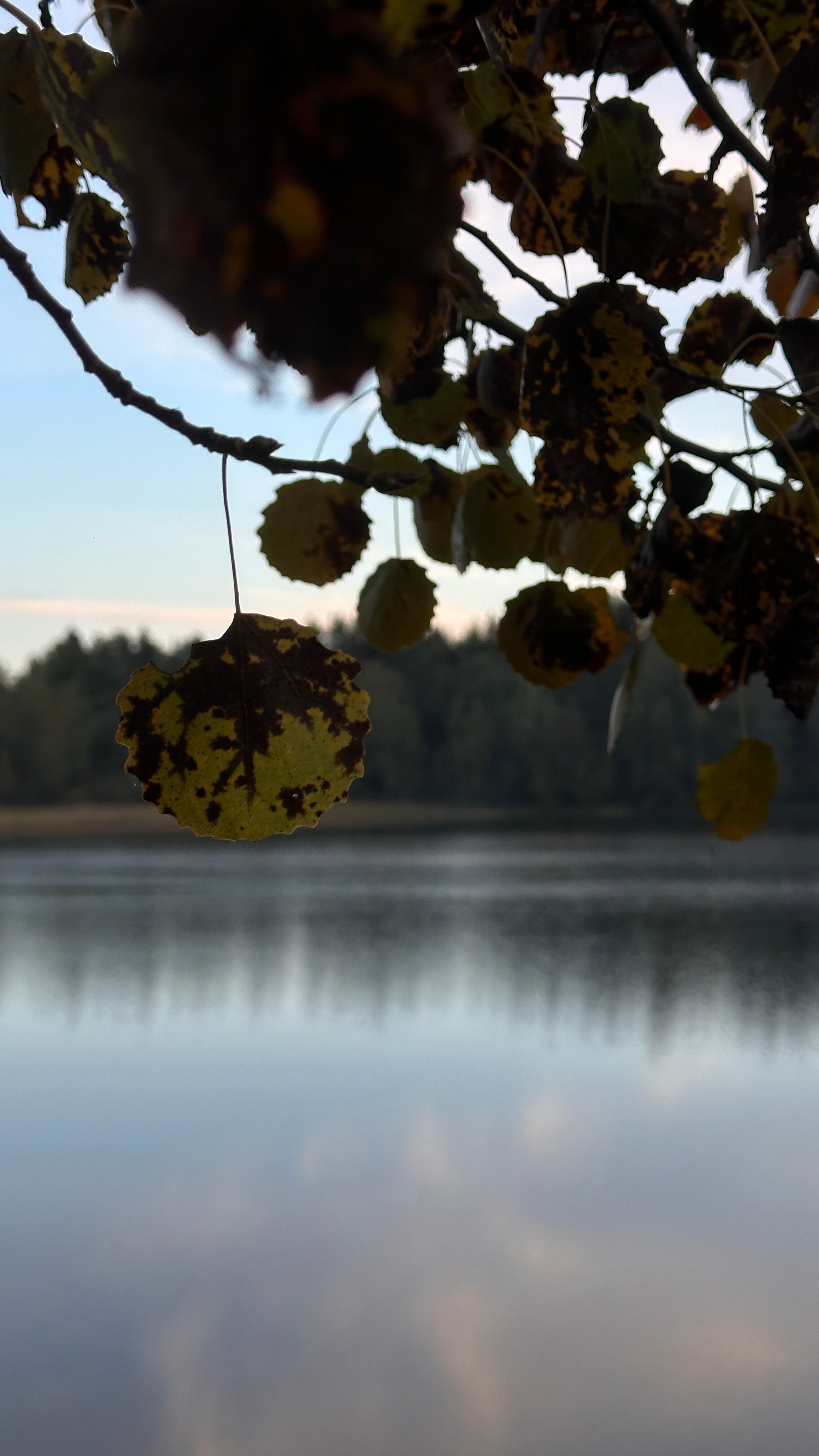 Фото Абракадабра