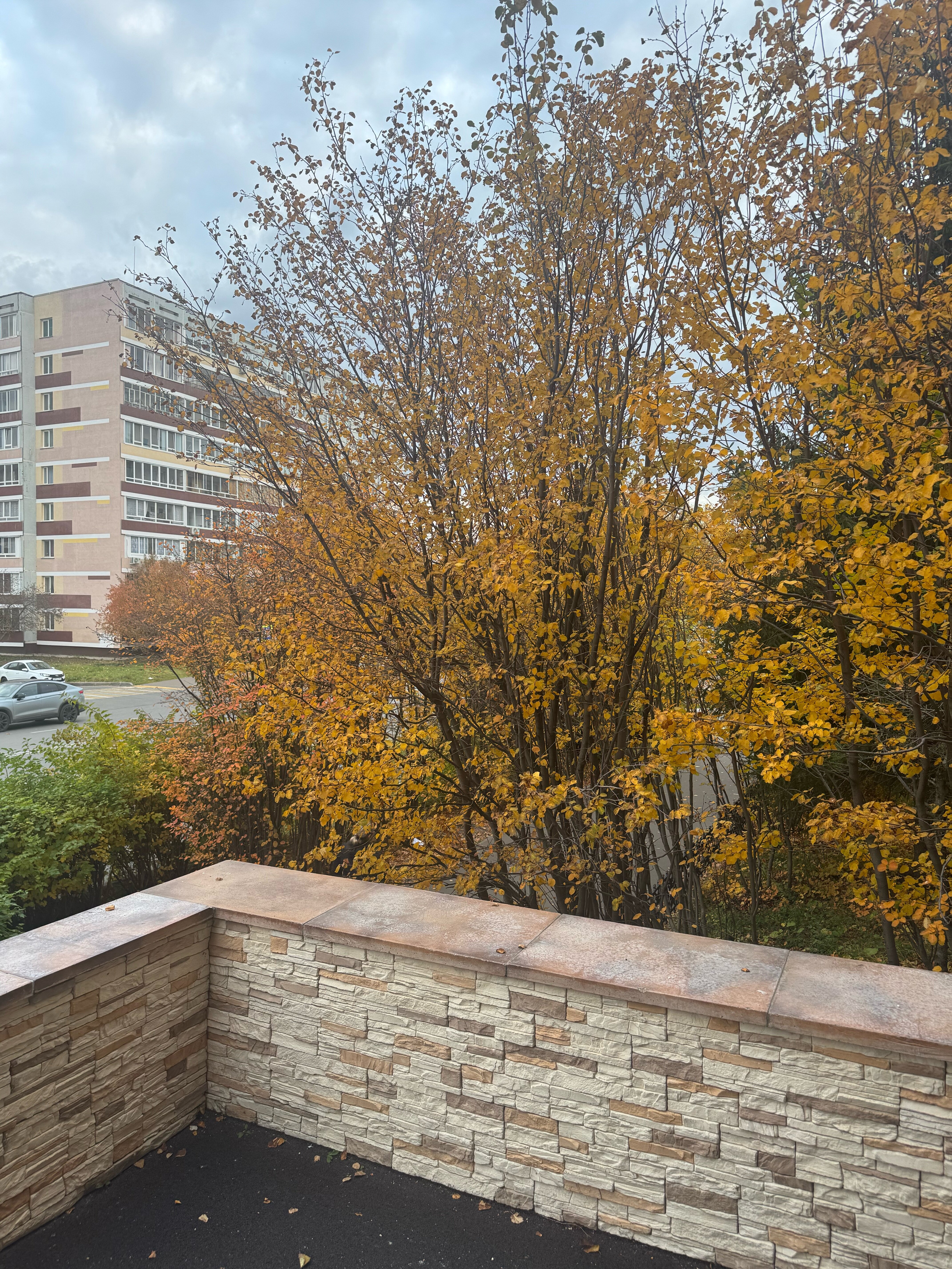 Фото Максимъ