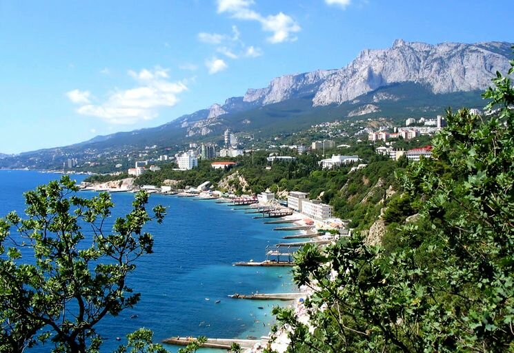 Фото Avalon Apartments