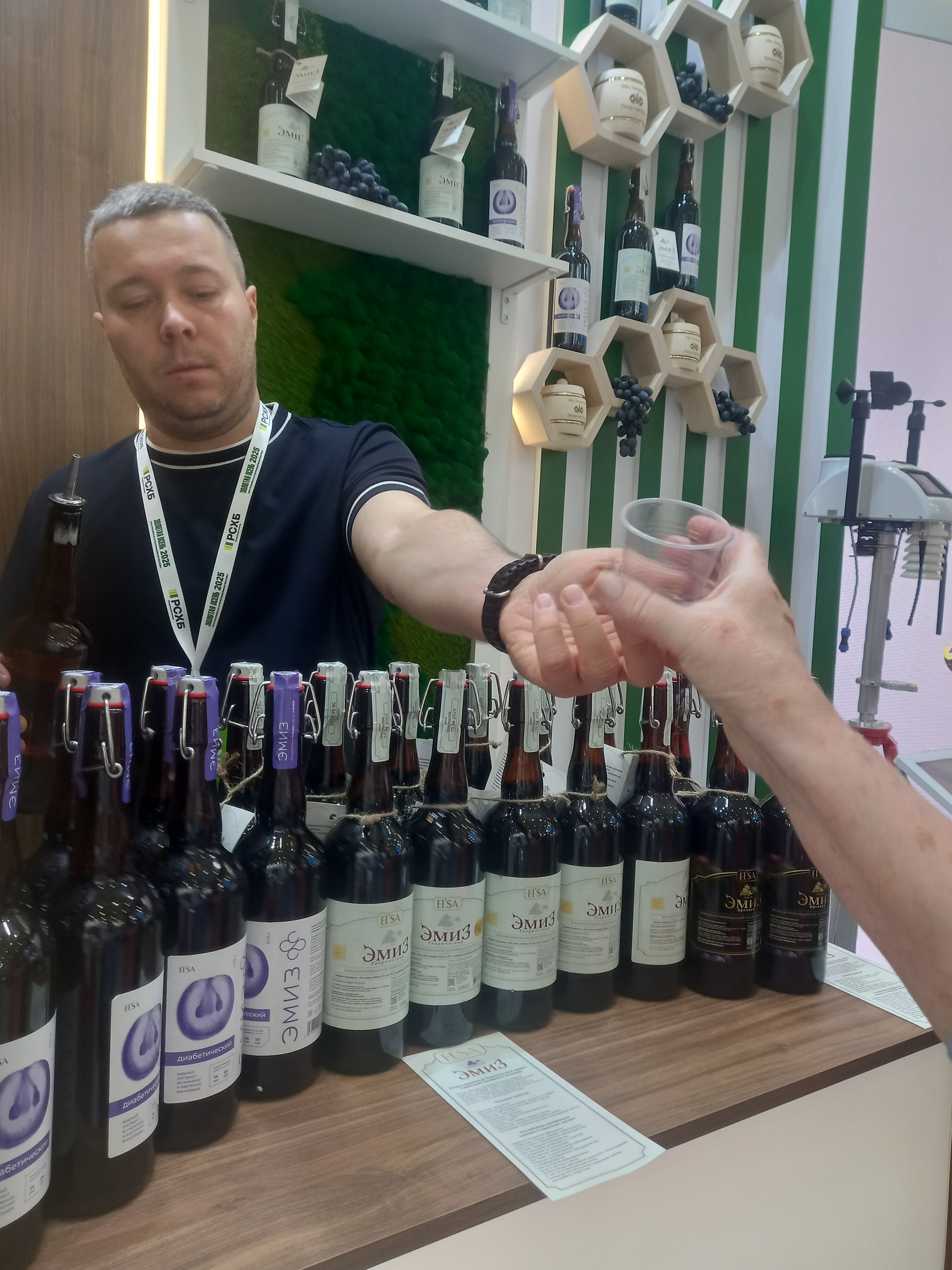 Фото Летний сад