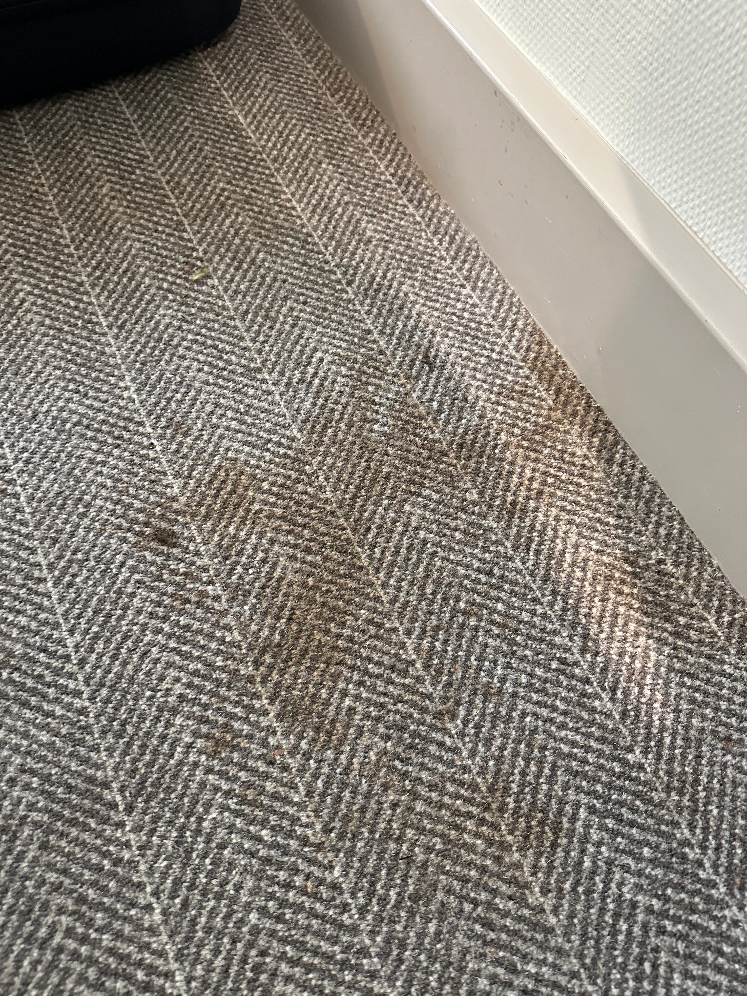 Фото Mercure Manchester Piccadilly