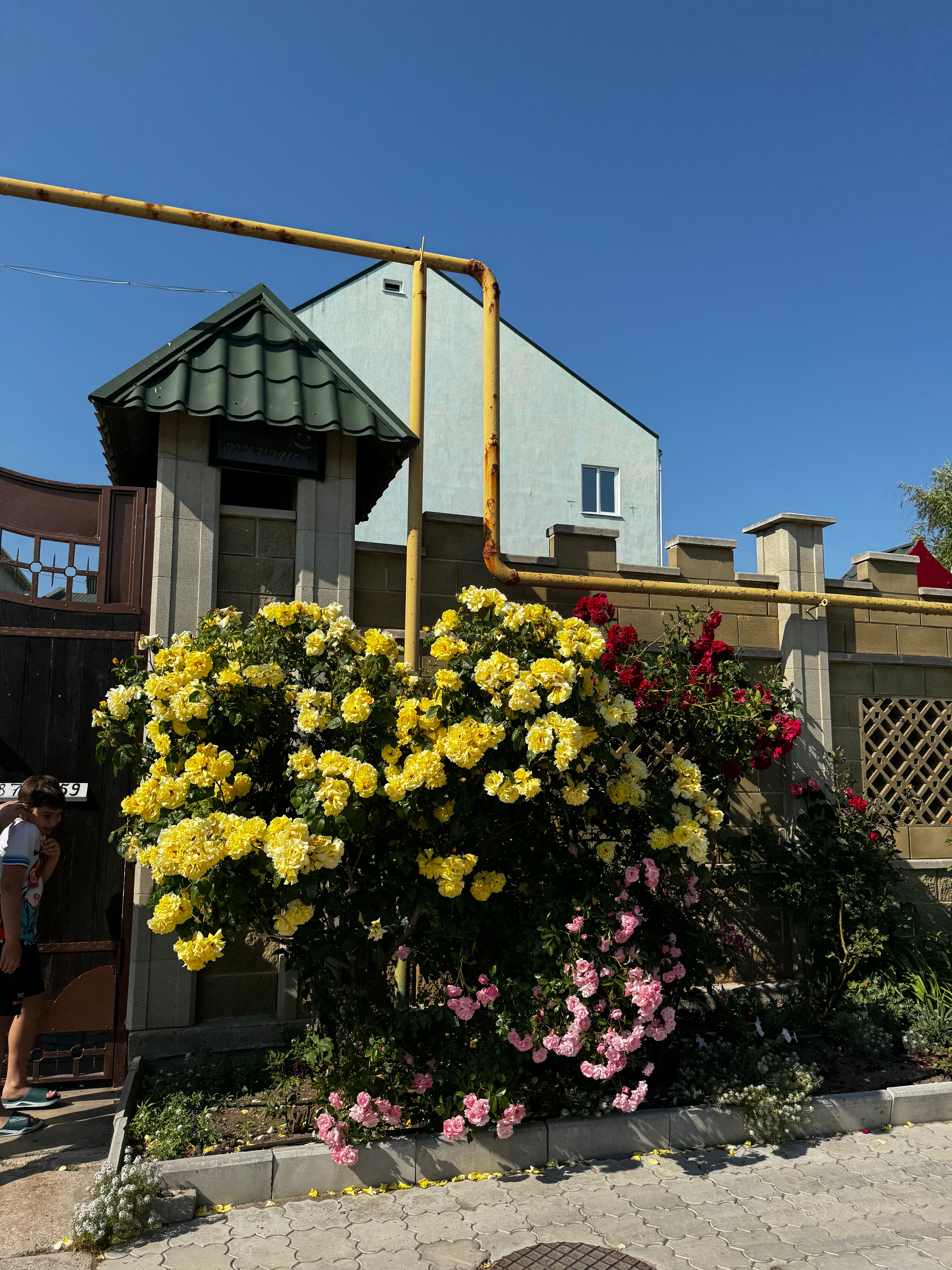 Фото Улыбка