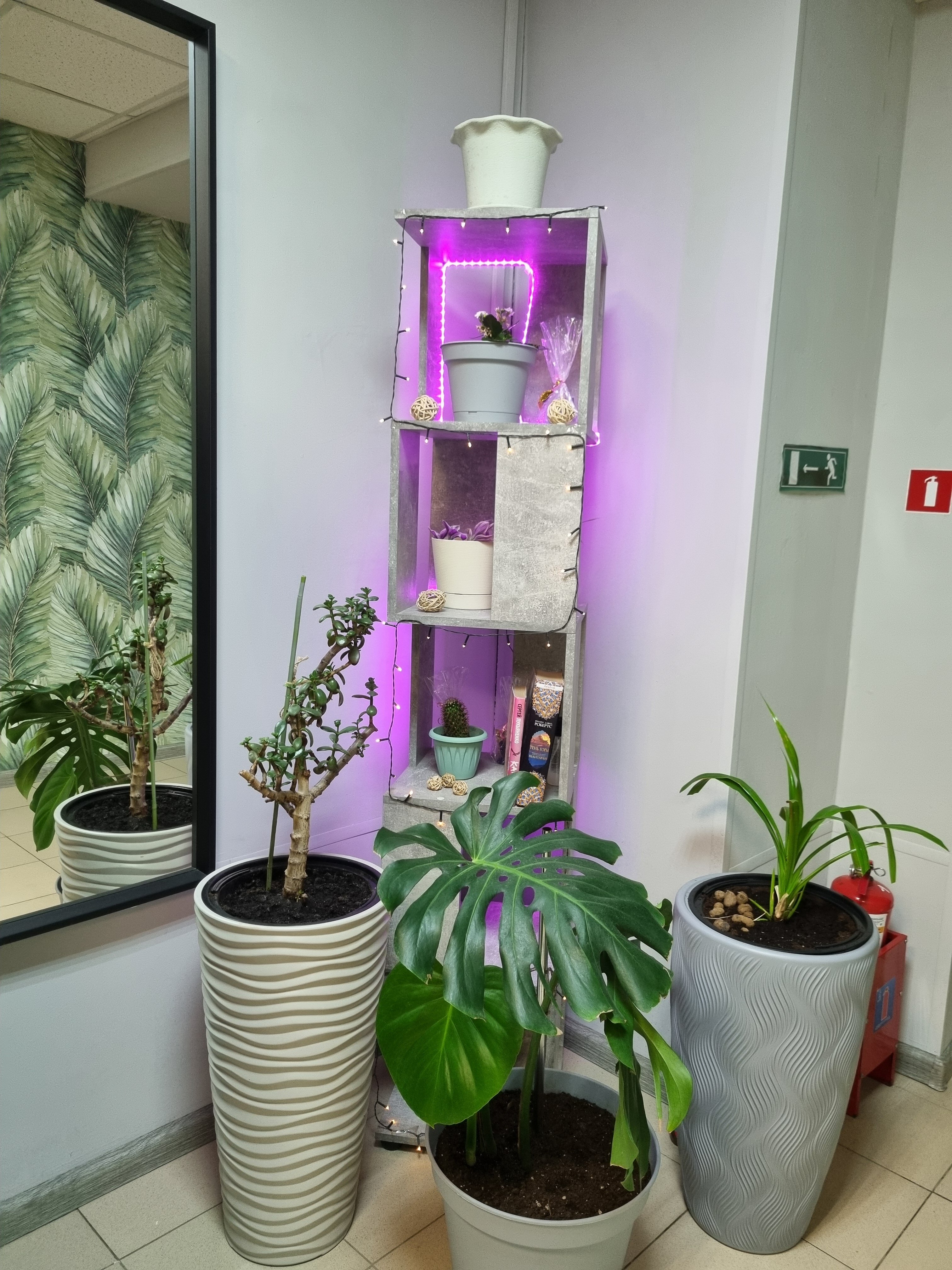 Фото Оазис Сити