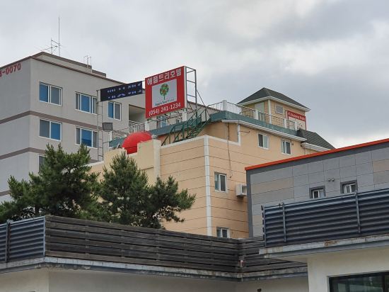 Фото Appletree Hotel