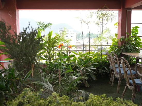 Фото Отель Darwin