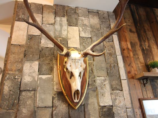 Фото February Hotel Hwanggeum