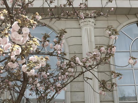 Фото Summer Solstice Book Fragrance Hotel (Shanghai Fudan University Branch)