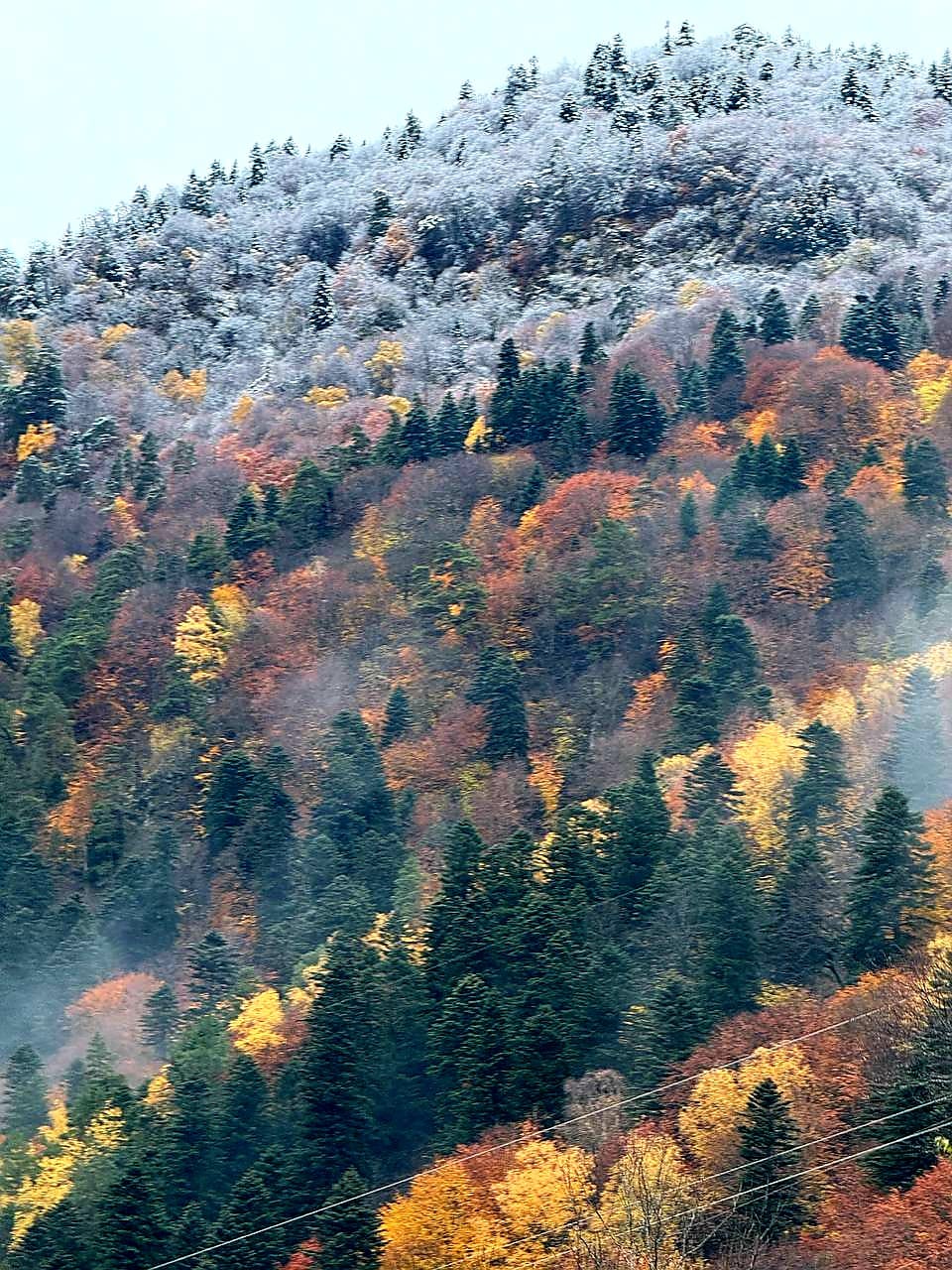 Фото Архыз Сити, Софийская поляна