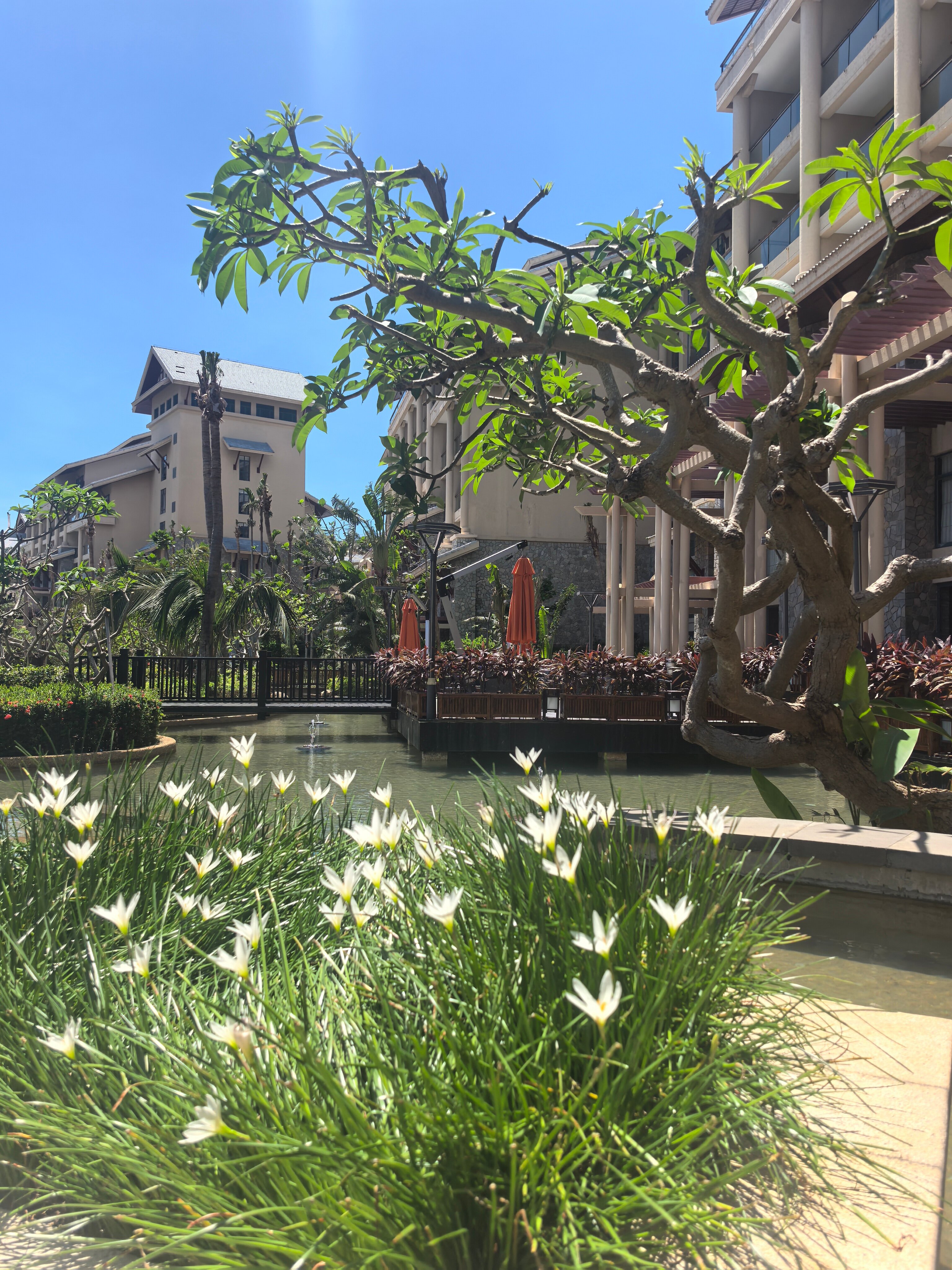 Фото Hilton Sanya Yalong Bay Resort & SPA