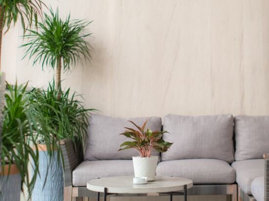 Фото Zenia Boutique Hotel Nha Trang