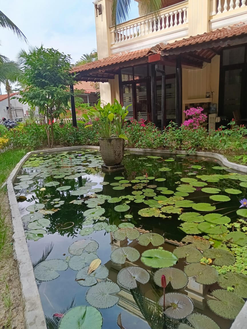 Фото Sea Lion Beach Resort Mui Ne