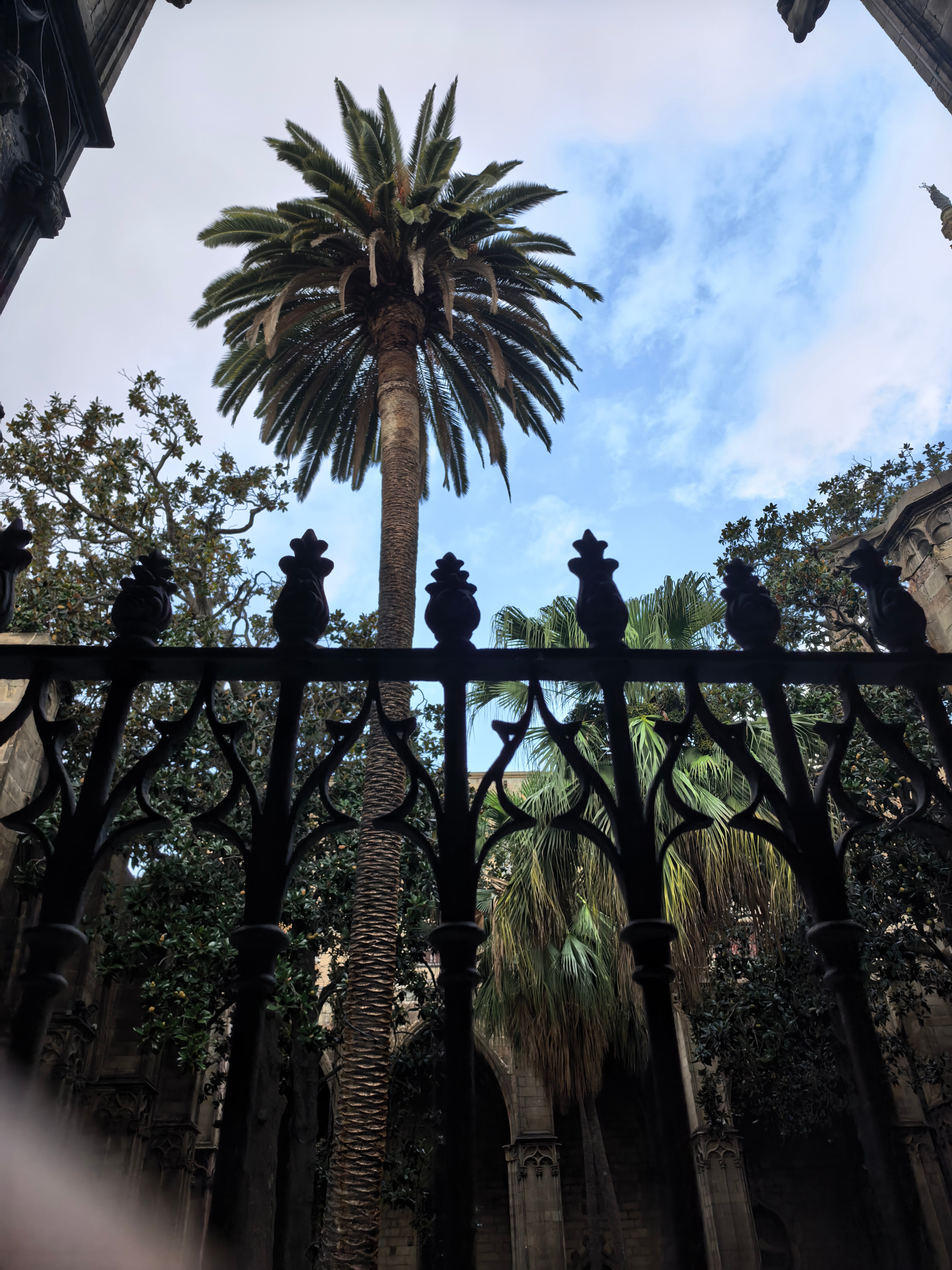 Фото Room Mate Pau