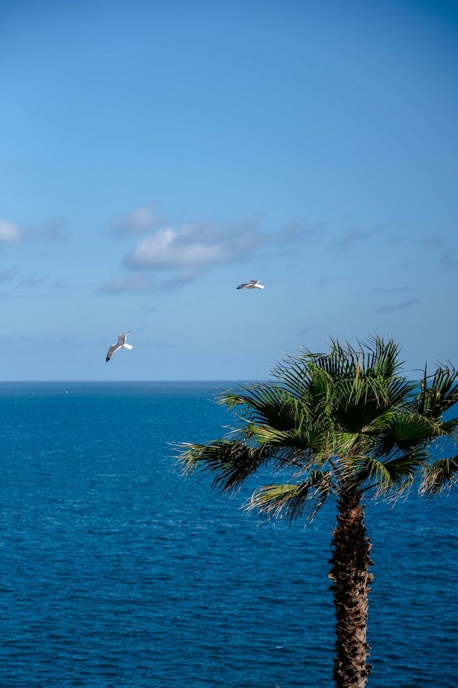 Фото Excelsior Palace Hotel