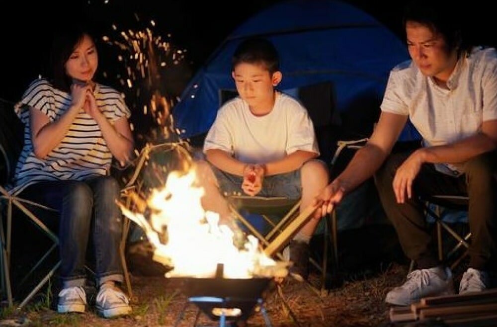 Фото Lupinus Kawaguchiko