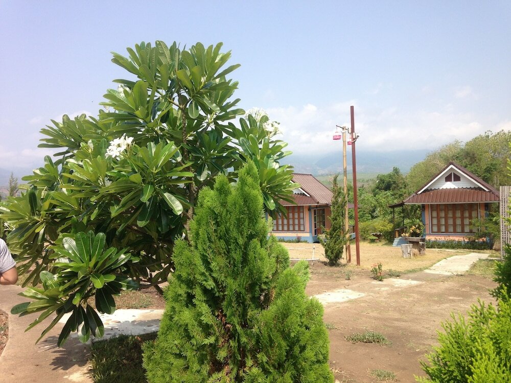 Фото Odourpai
