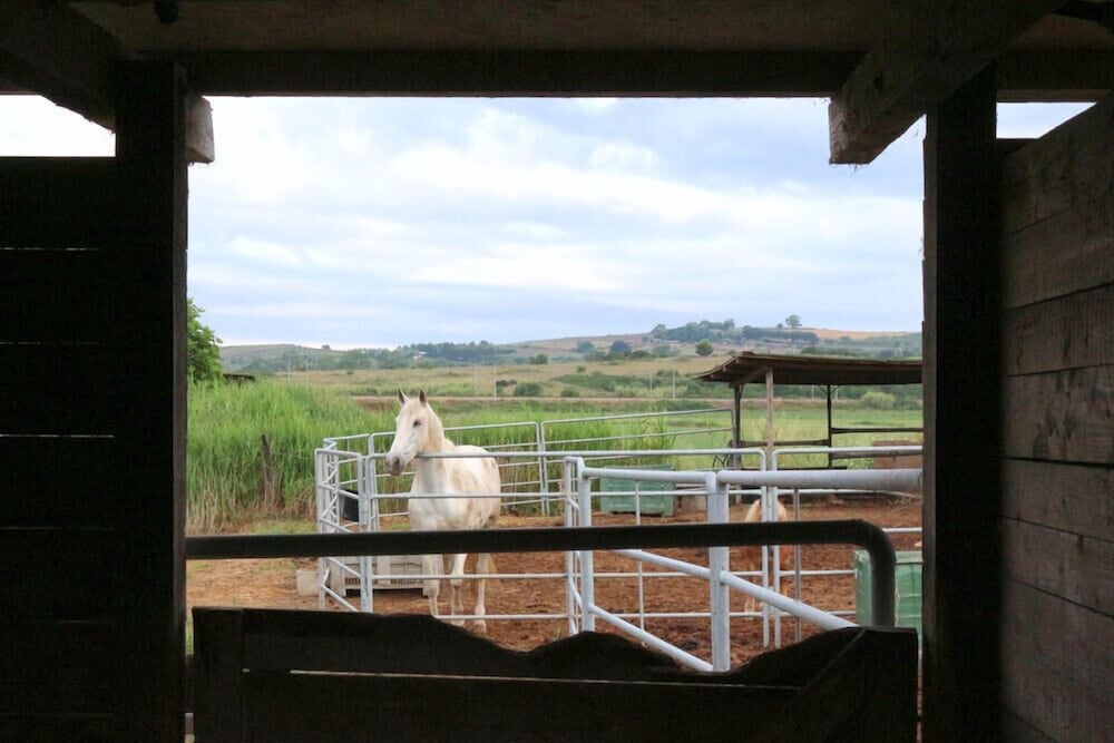Фото Agriturismo gli Etruschi