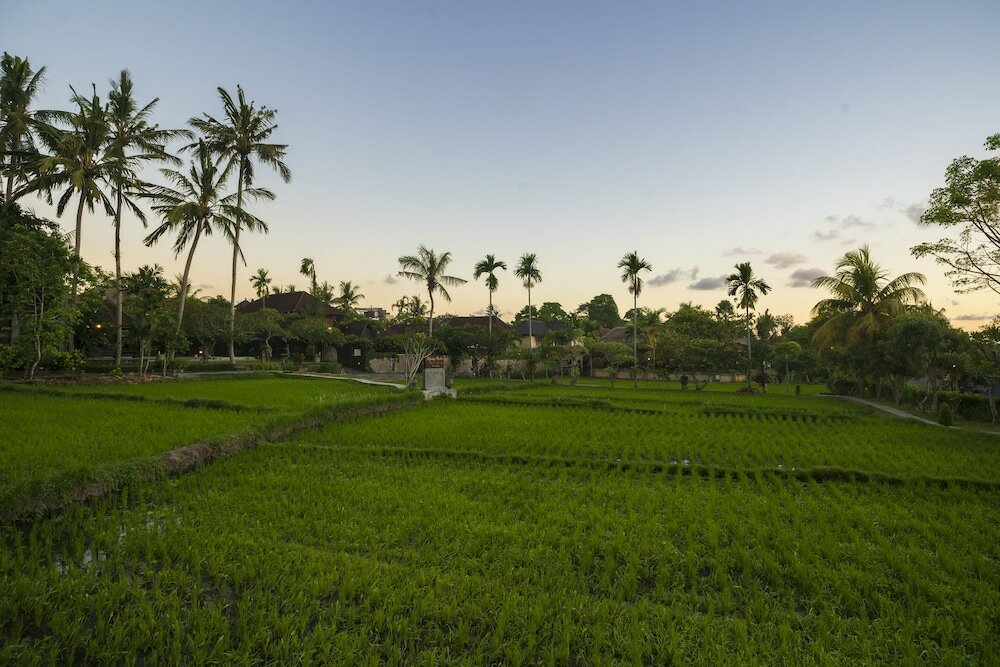 Фото Amatara Agung Raka