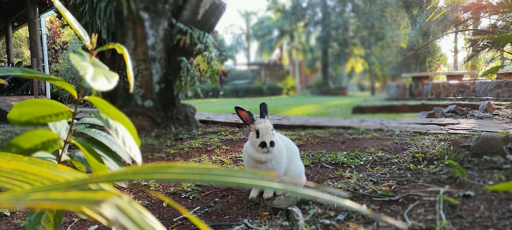 Фото Posada 21 Oranges